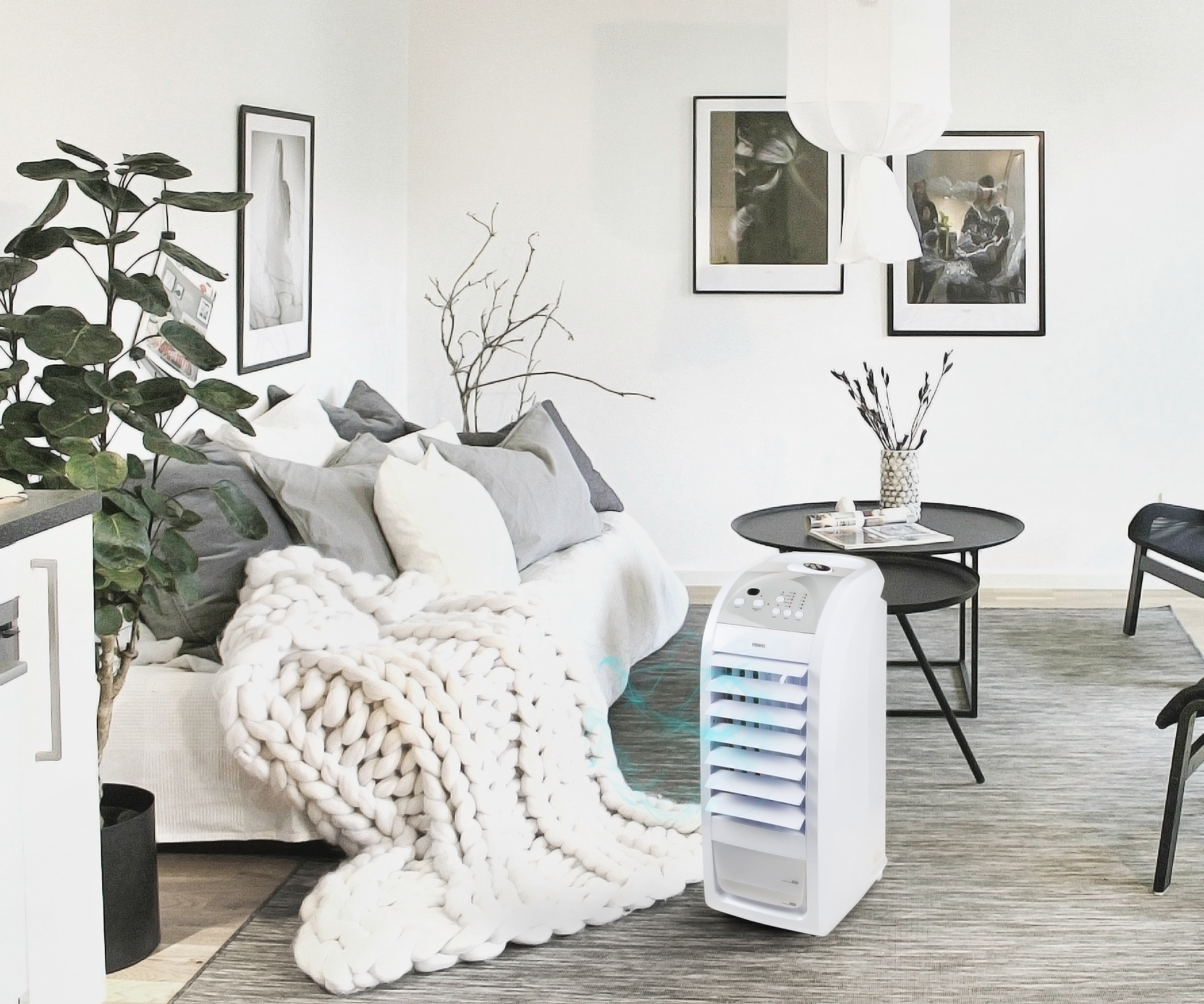 Living room with sofa, blanket, plants, paintings, and a white air cooler. Neutral colors.