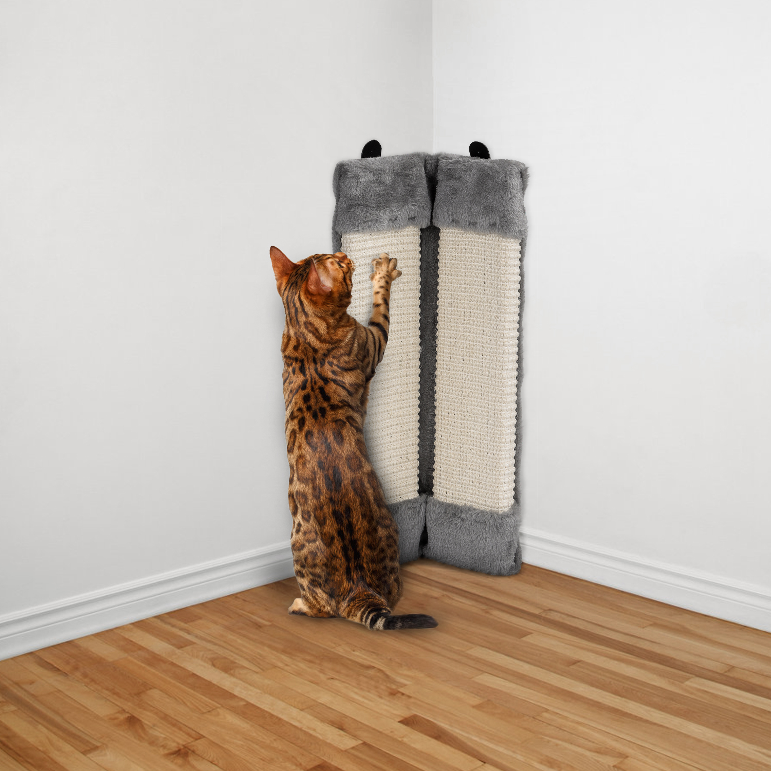 Gato bengalí rascando un rascador para gatos montado en la esquina de una pared.