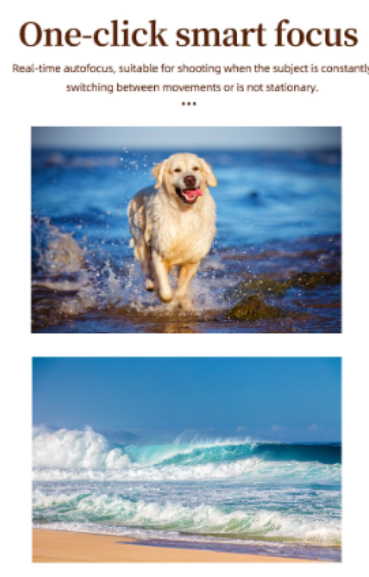 Fotos von einem Hund im Wasser und Wellen an einem Strand mit Text: One-click smart focus.