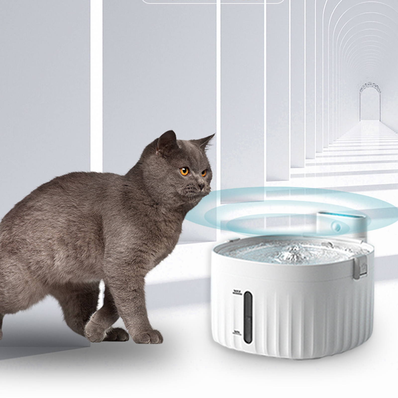 Graue Katze blickt auf einen weißen Katzen-Trinkbrunnen. Blasen sind im Wasser sichtbar.