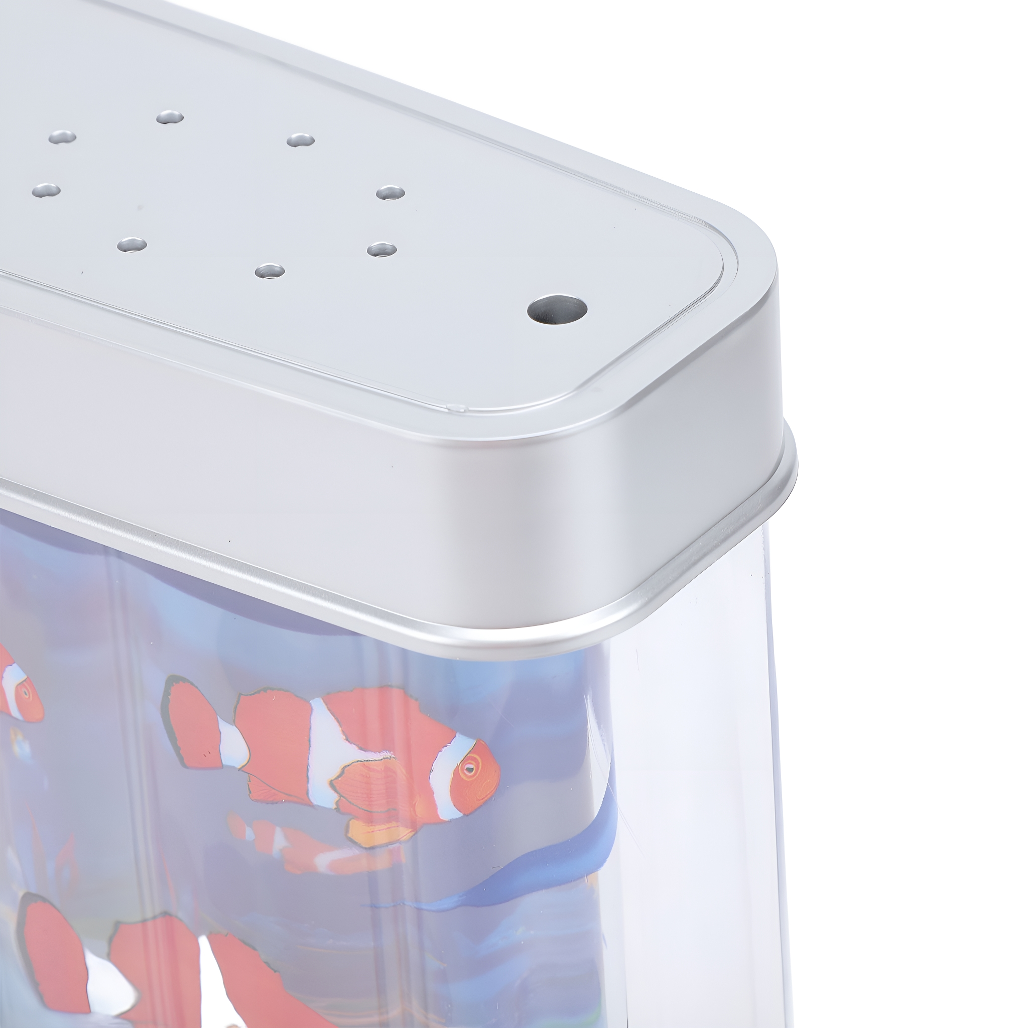Aquarium mit Clownfischen, klare Front, silberner Deckel, weißer Hintergrund.