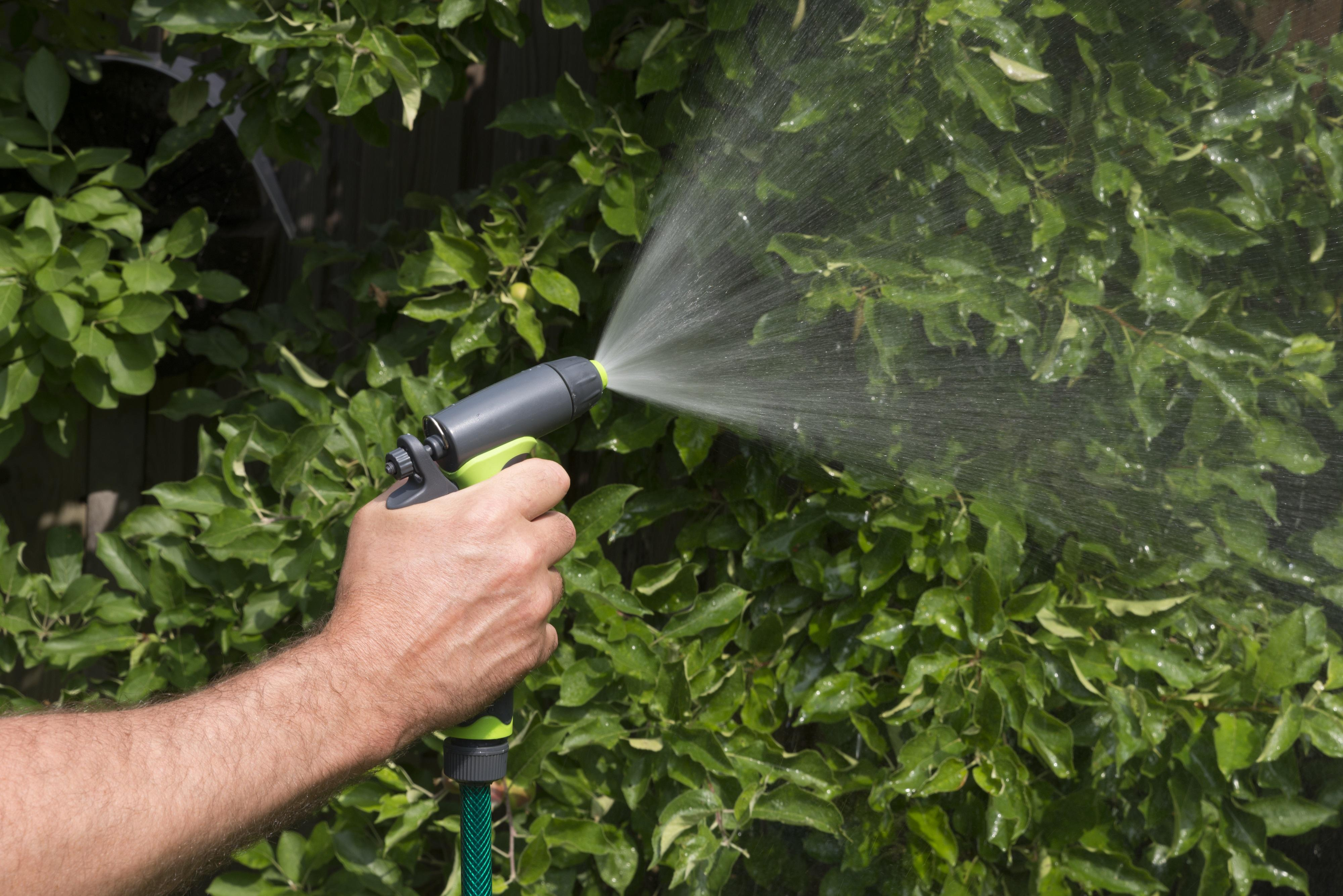 Een hand die een groen-grijze waterspuit vasthoudt en water op het gebladerte spuit.