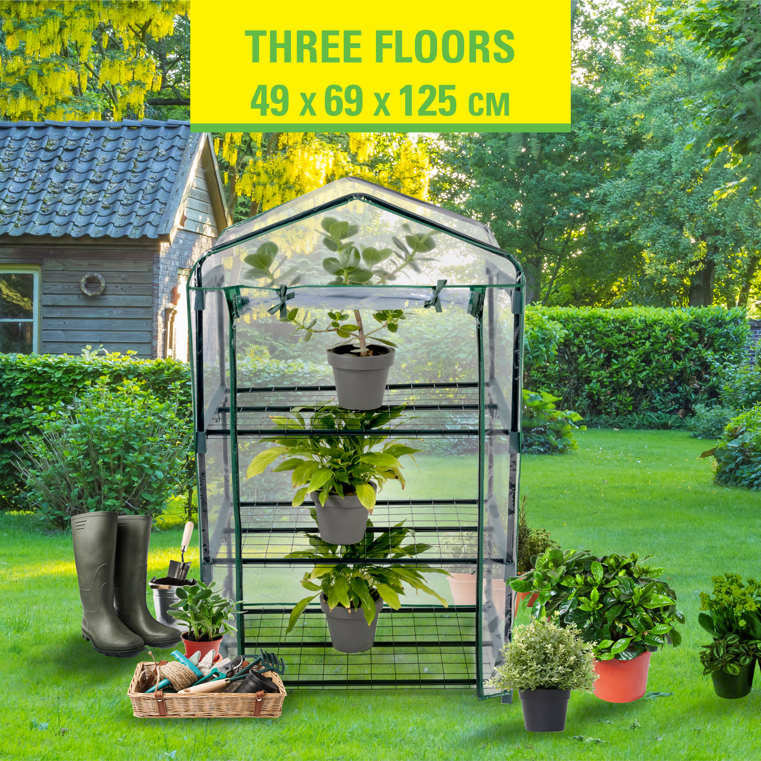 Greenhouse with plants. Plants in pots on shelves and on the ground. Green plants.