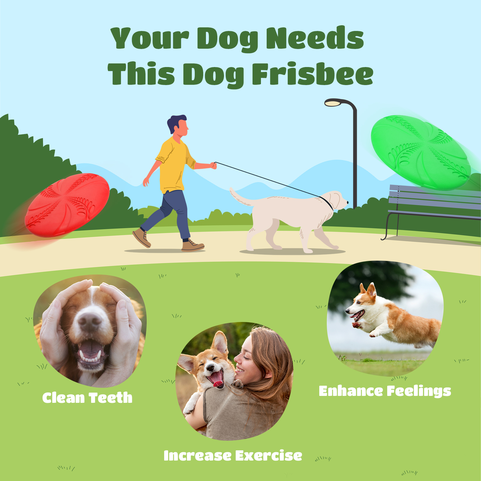 Una ilustración que promociona un disco volador para perros, con un hombre paseando a un perro e imágenes de perros.
