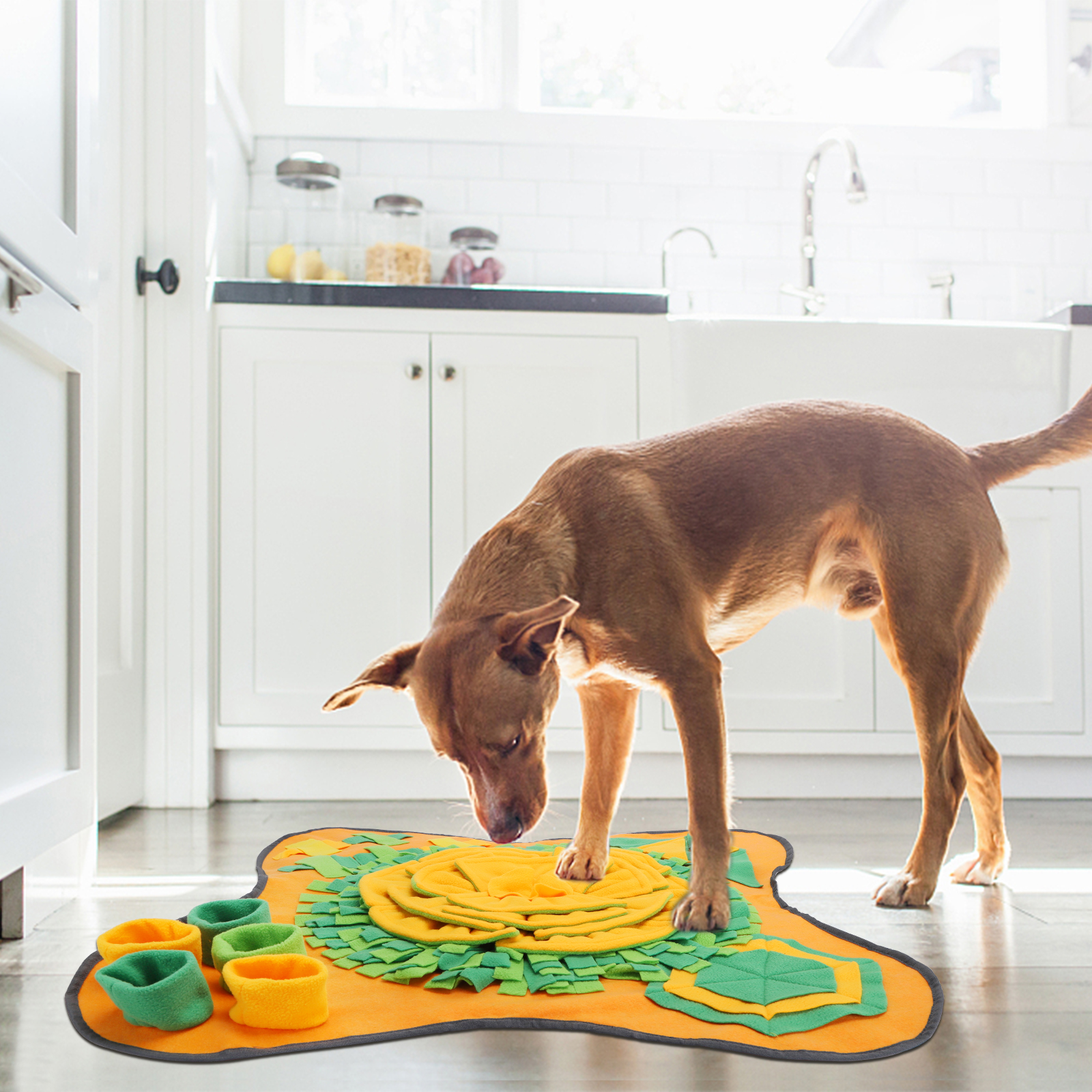 Perro oliendo una alfombra de actividades colorida en una cocina brillante.