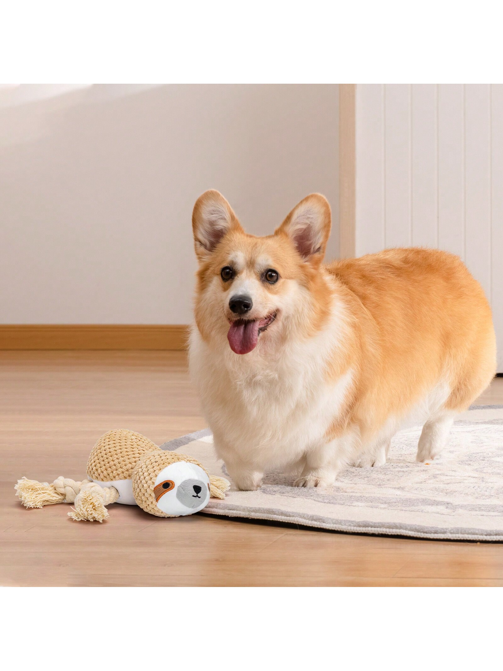 Perro Corgi con juguete. El perro está de pie, con la lengua fuera, cerca de un juguete beige.