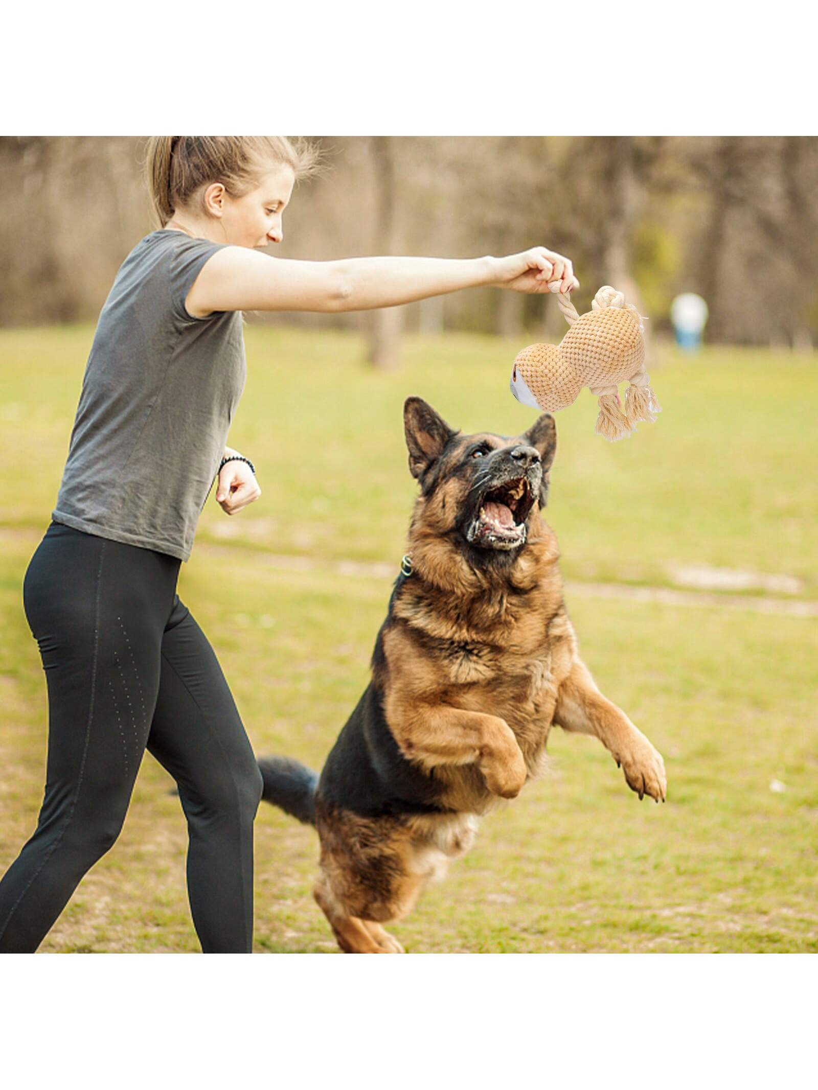 Una mujer lanza un juguete a un perro. El perro está saltando en una zona con hierba.