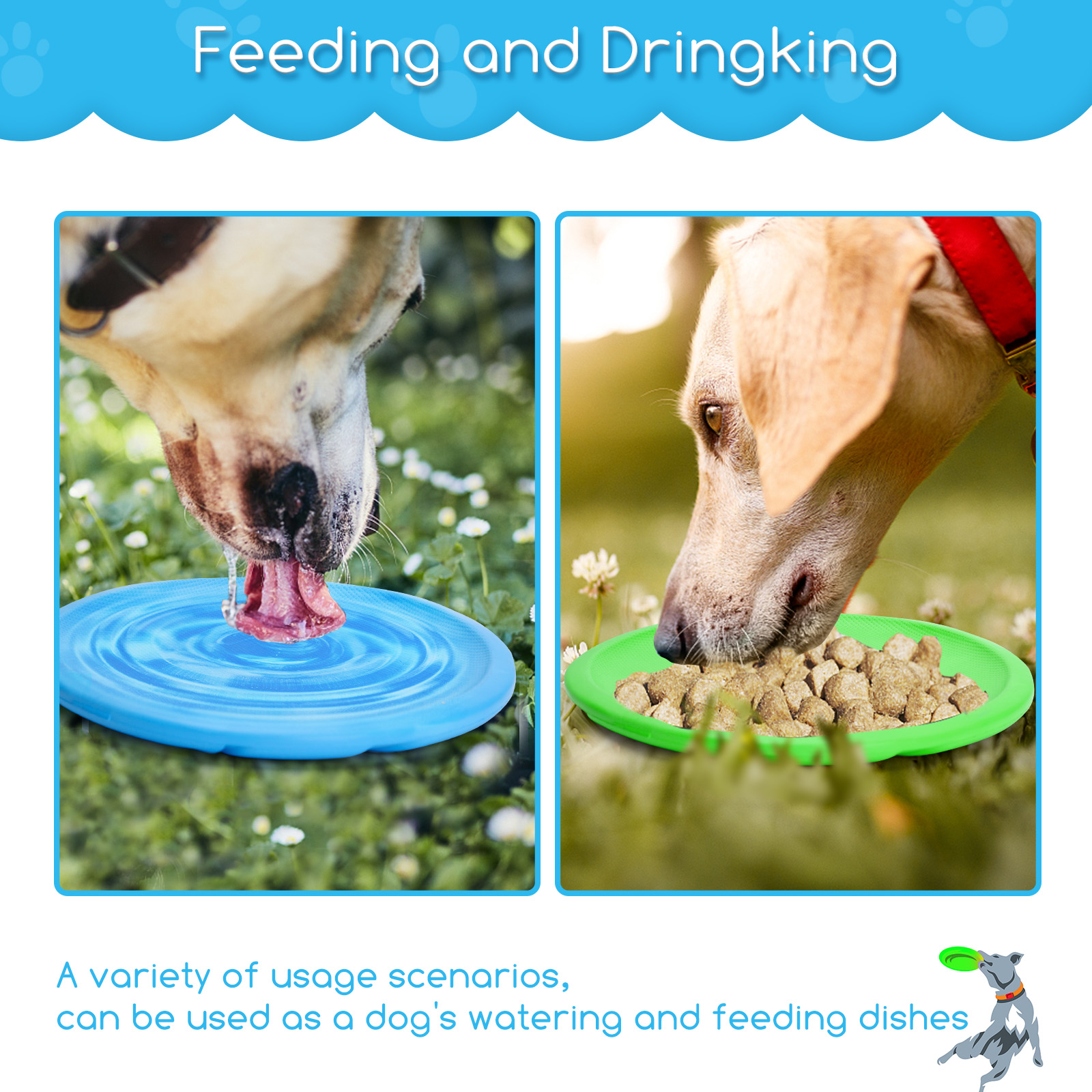 Dos perros comiendo de platos azules y verdes. La imagen muestra escenarios de alimentación e hidratación.
