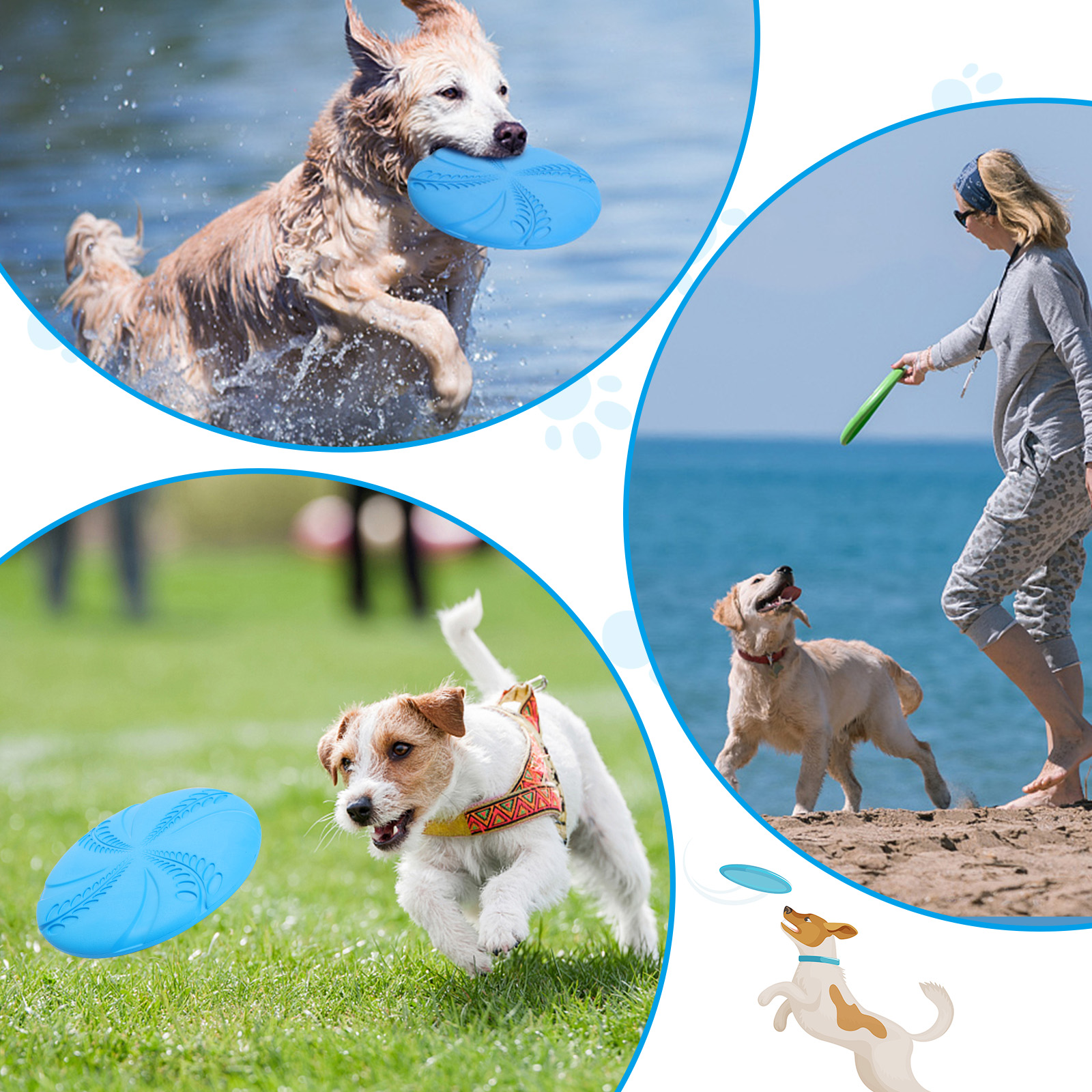 Perros jugando con frisbees. Varios perros en diferentes entornos: agua, hierba, playa.