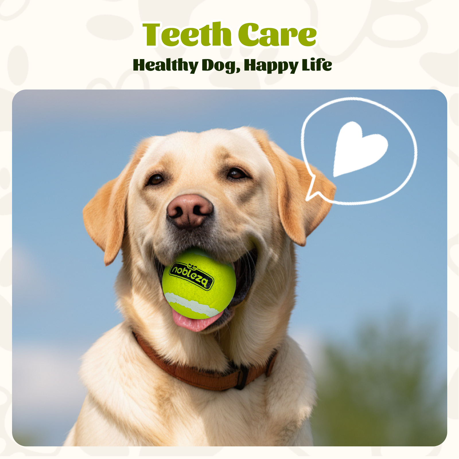 Un labrador amarillo sostiene una pelota de tenis, con una burbuja de corazón y el texto 'Teeth Care'.