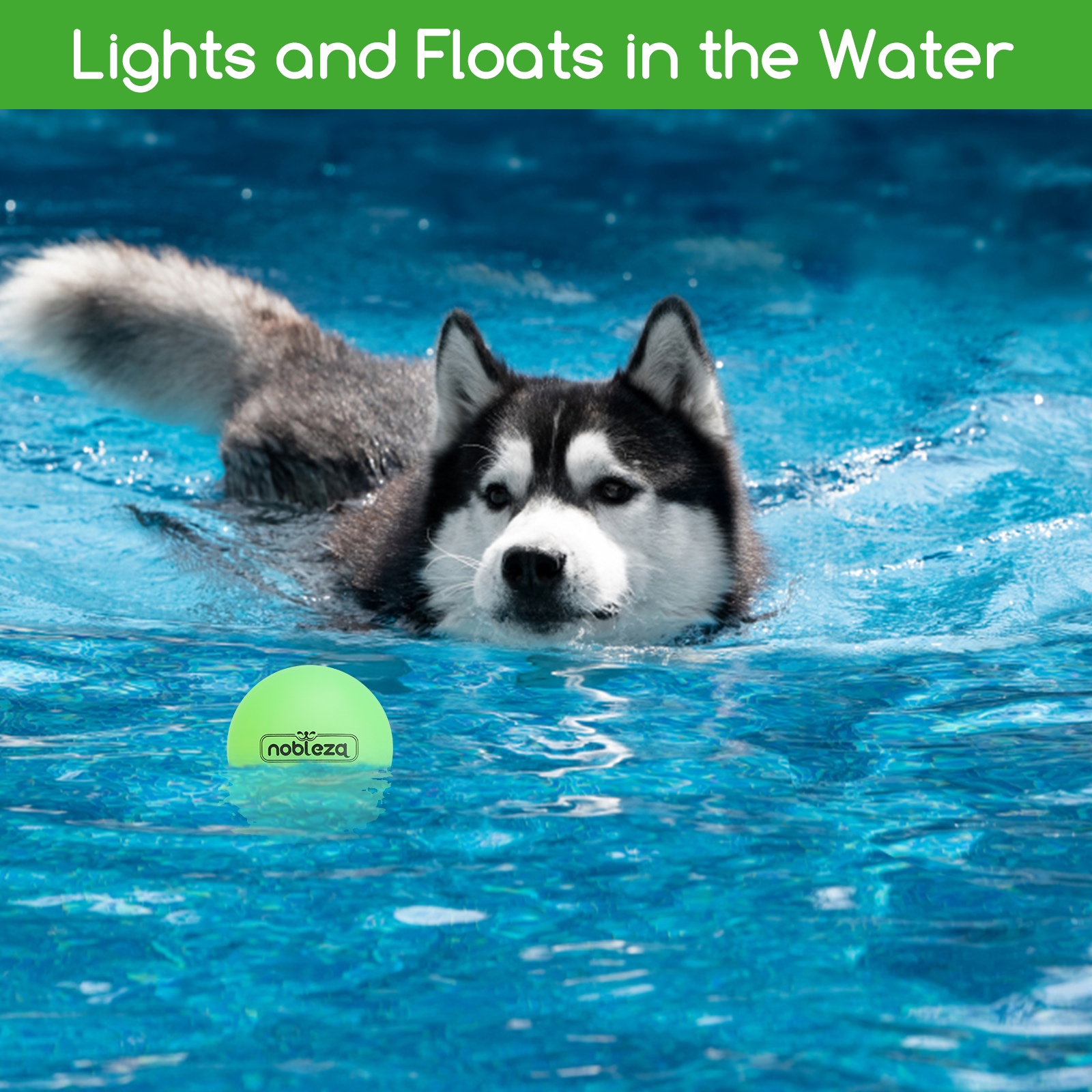 Un perro blanco y negro nadando en una piscina, una pelota verde flota cerca.