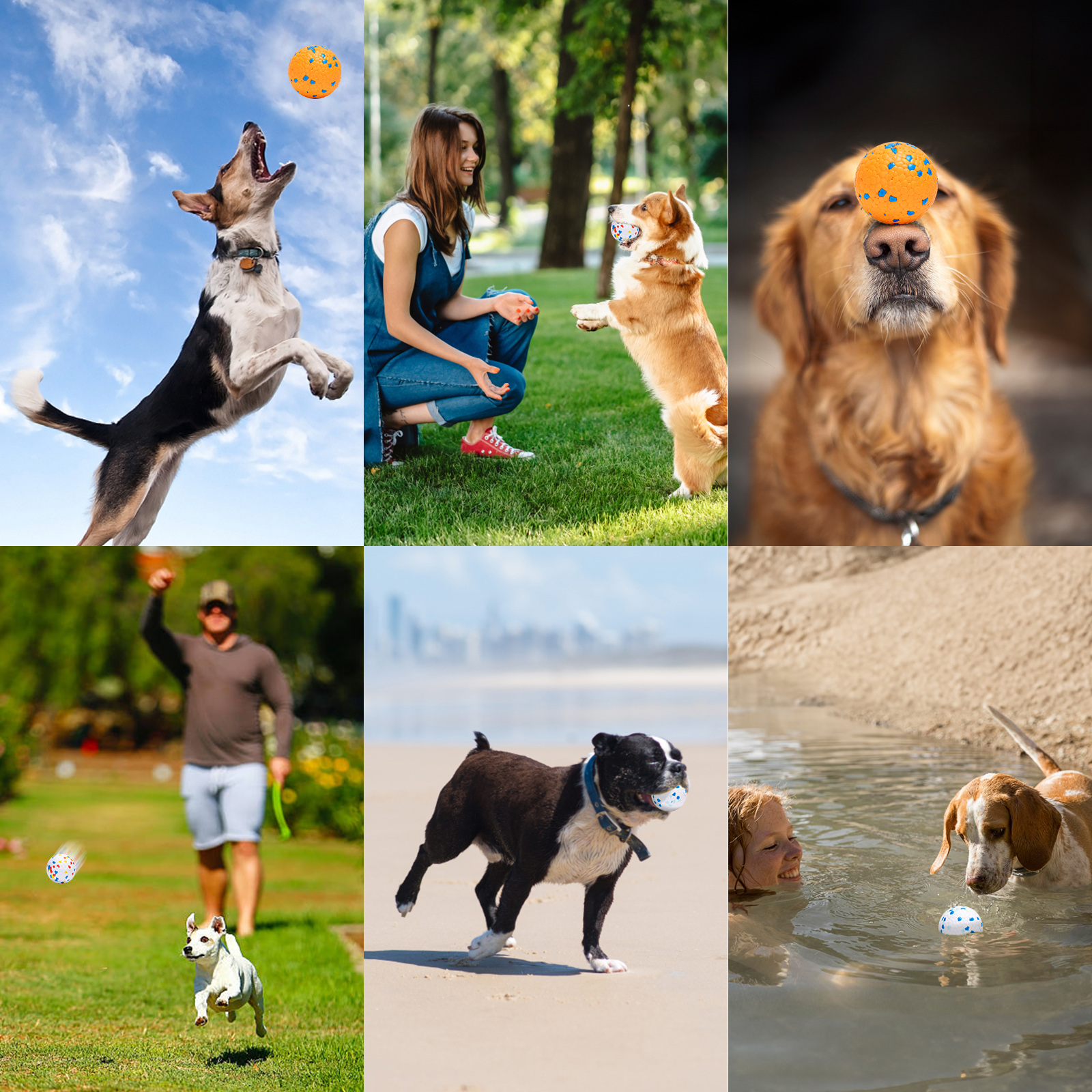 Los perros juegan con una pelota. Uno salta, otro la equilibra. Personas y perros en un parque y en una playa.