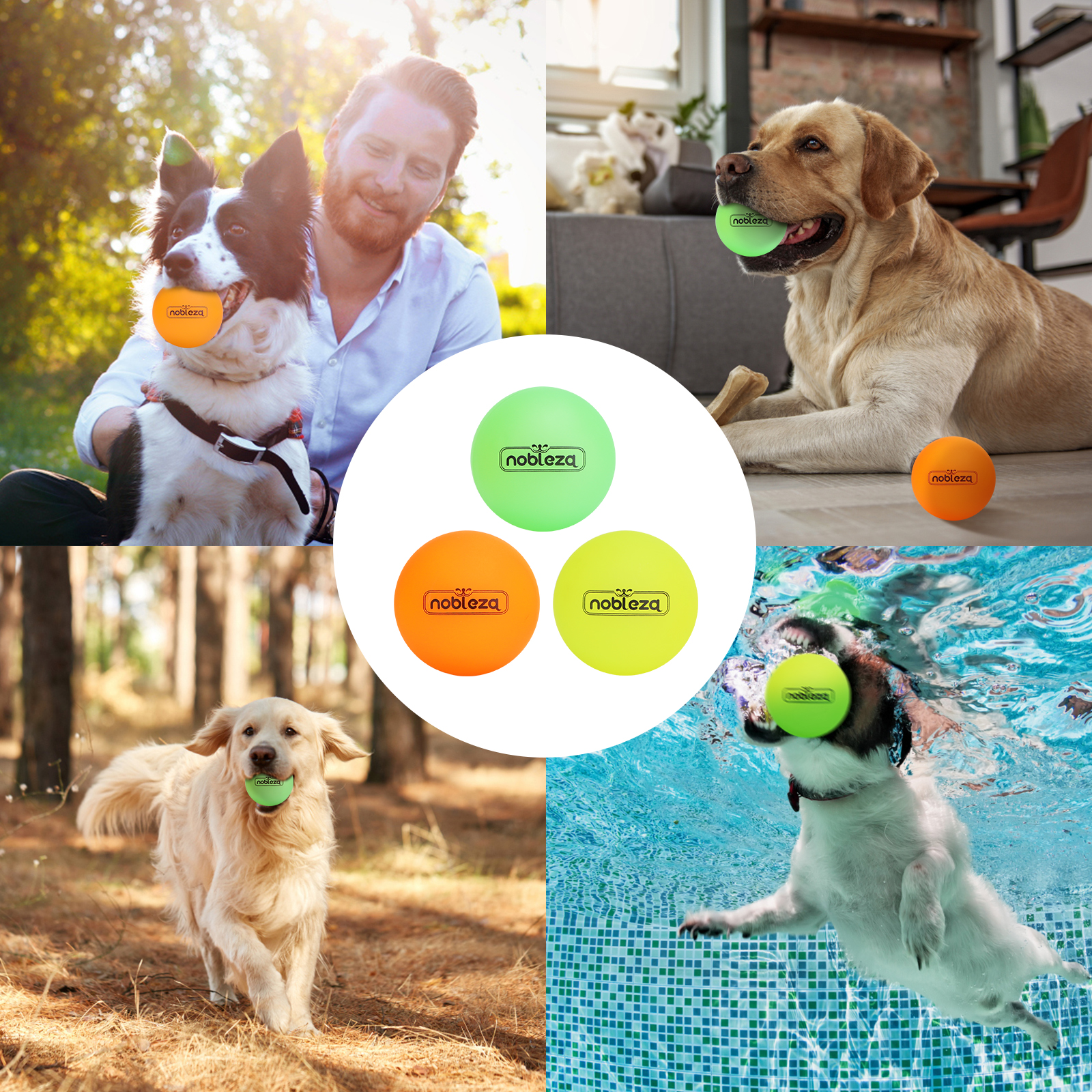Perros jugando con pelotas. Uno está en una piscina, los otros en un parque.