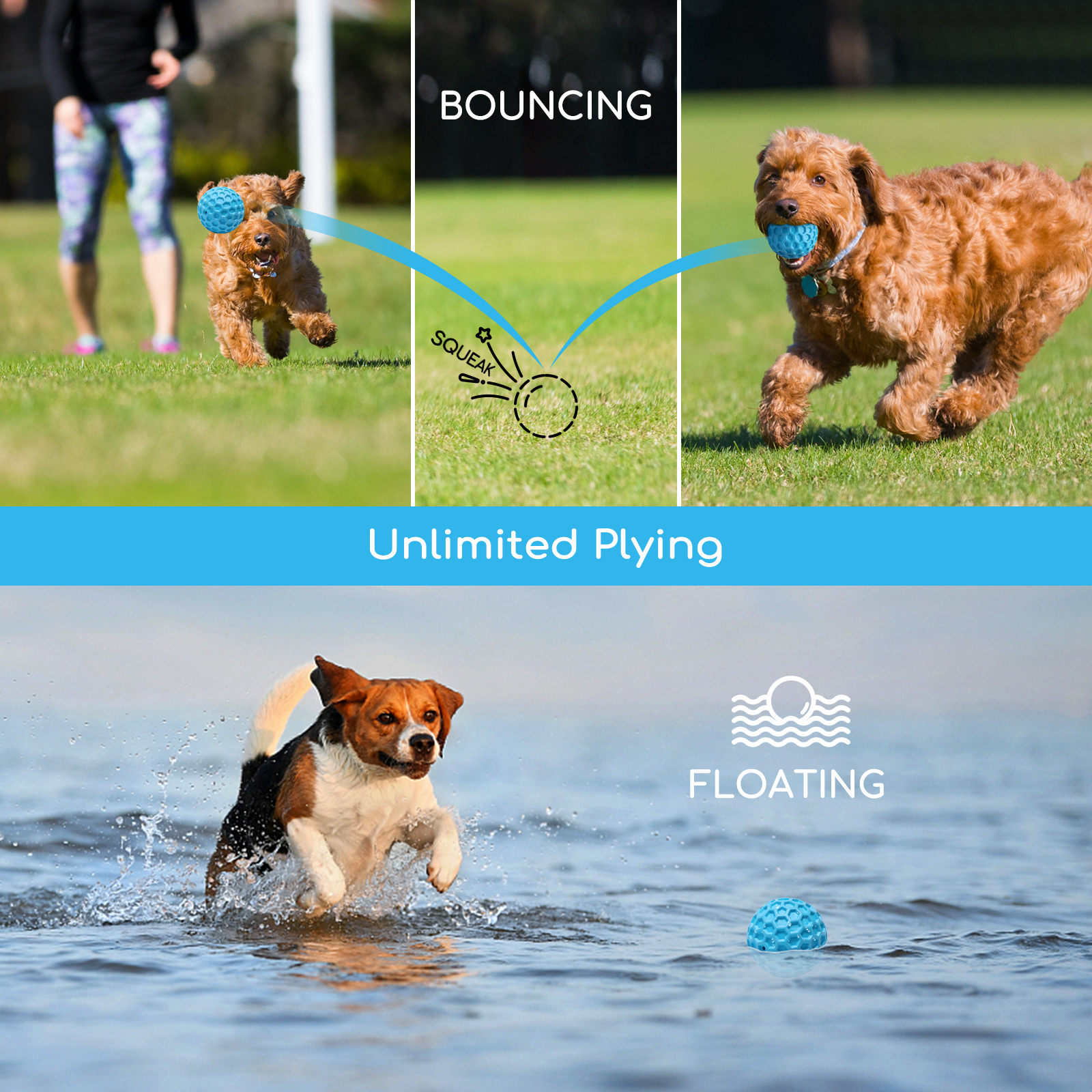 Perros jugando con una pelota azul, con leyendas: 'Rebotando' y 'Flotando'.