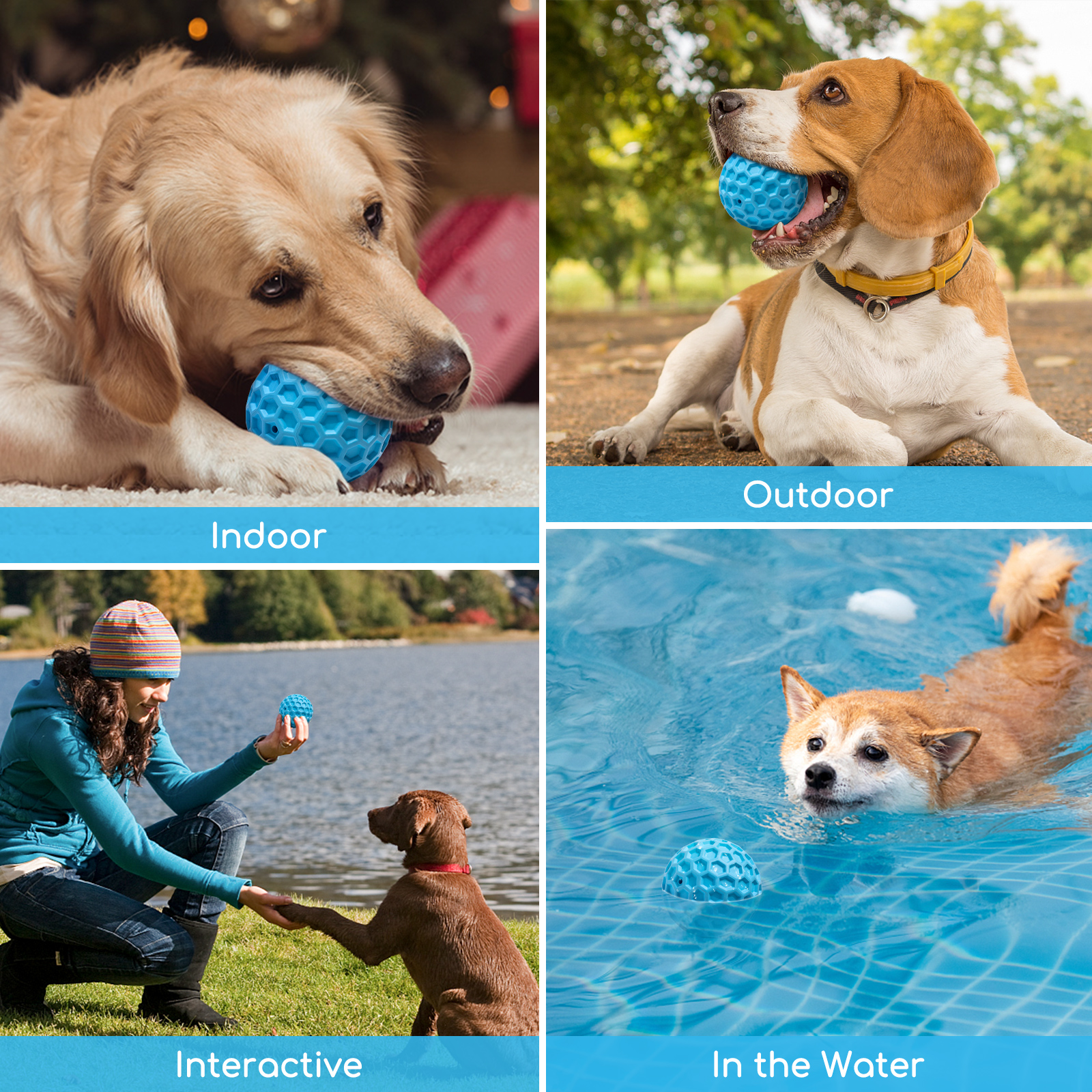 Cuatro imágenes de perros con una pelota azul: interior, exterior, interactivo y en el agua.