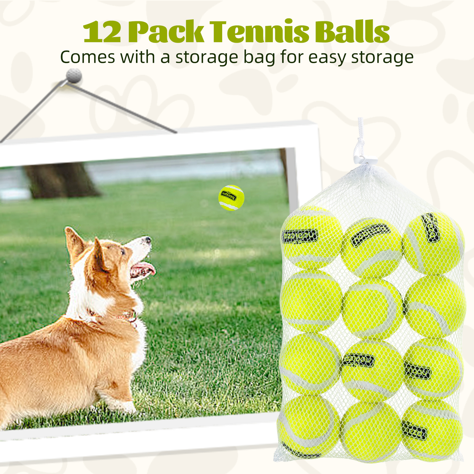 Un perro Corgi mirando hacia arriba a una pelota de tenis sostenida por una cuerda frente a una bolsa de red.