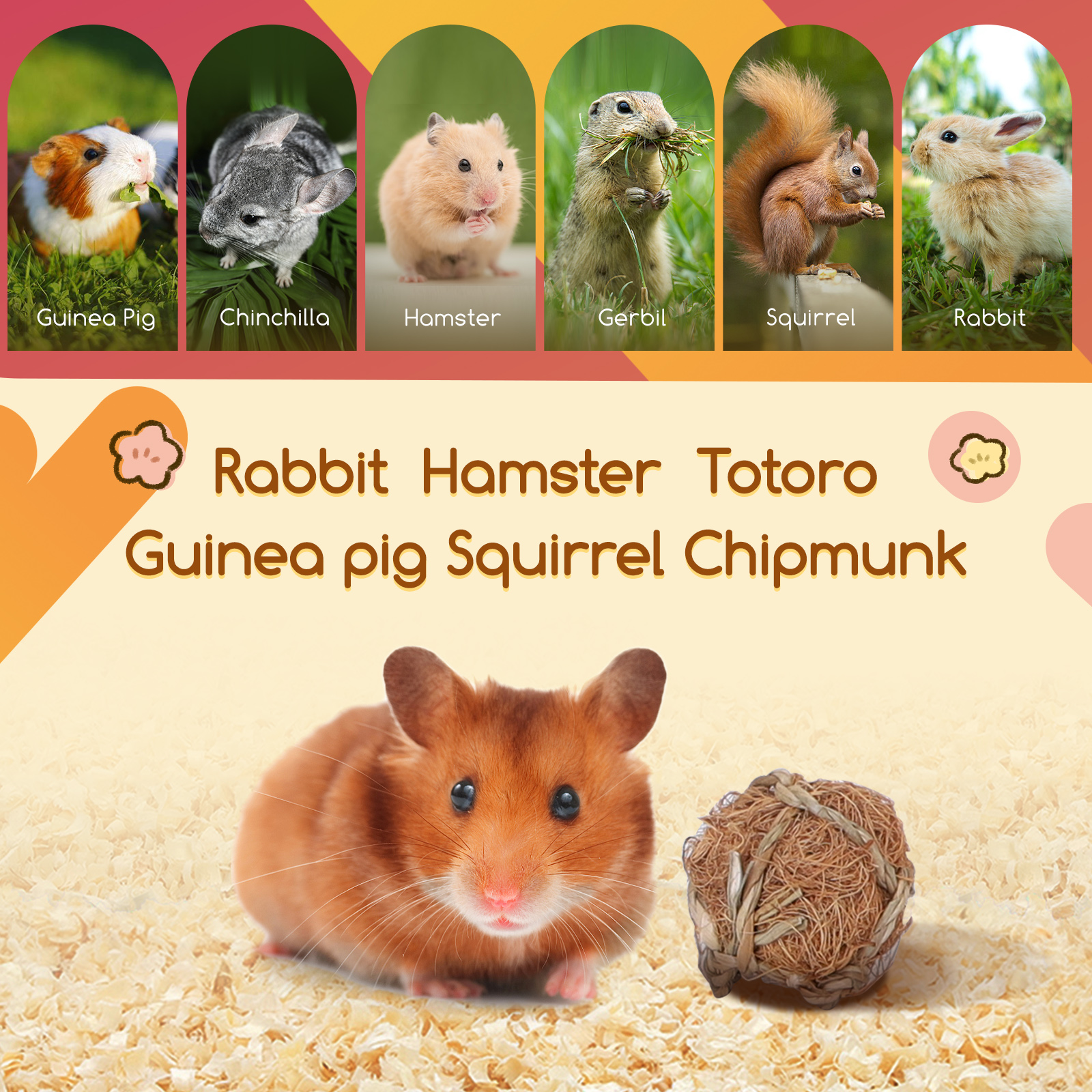 Varios animales pequeños, incluyendo cobaya, chinchilla, hámster, jerbo, ardilla y conejo.