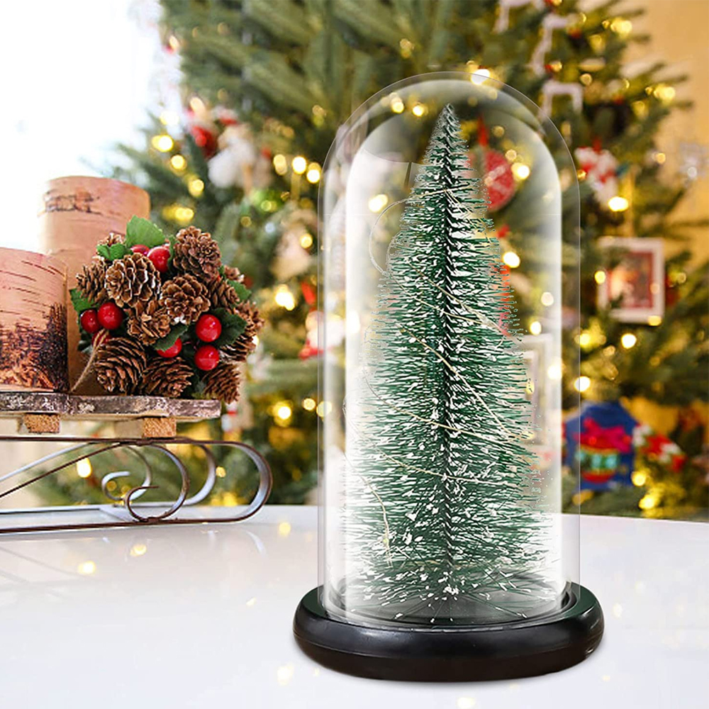 Ein Weihnachtsbaum in einer Glaskuppel. Er steht auf einem weißen Tisch vor einer Weihnachtsdekoration.