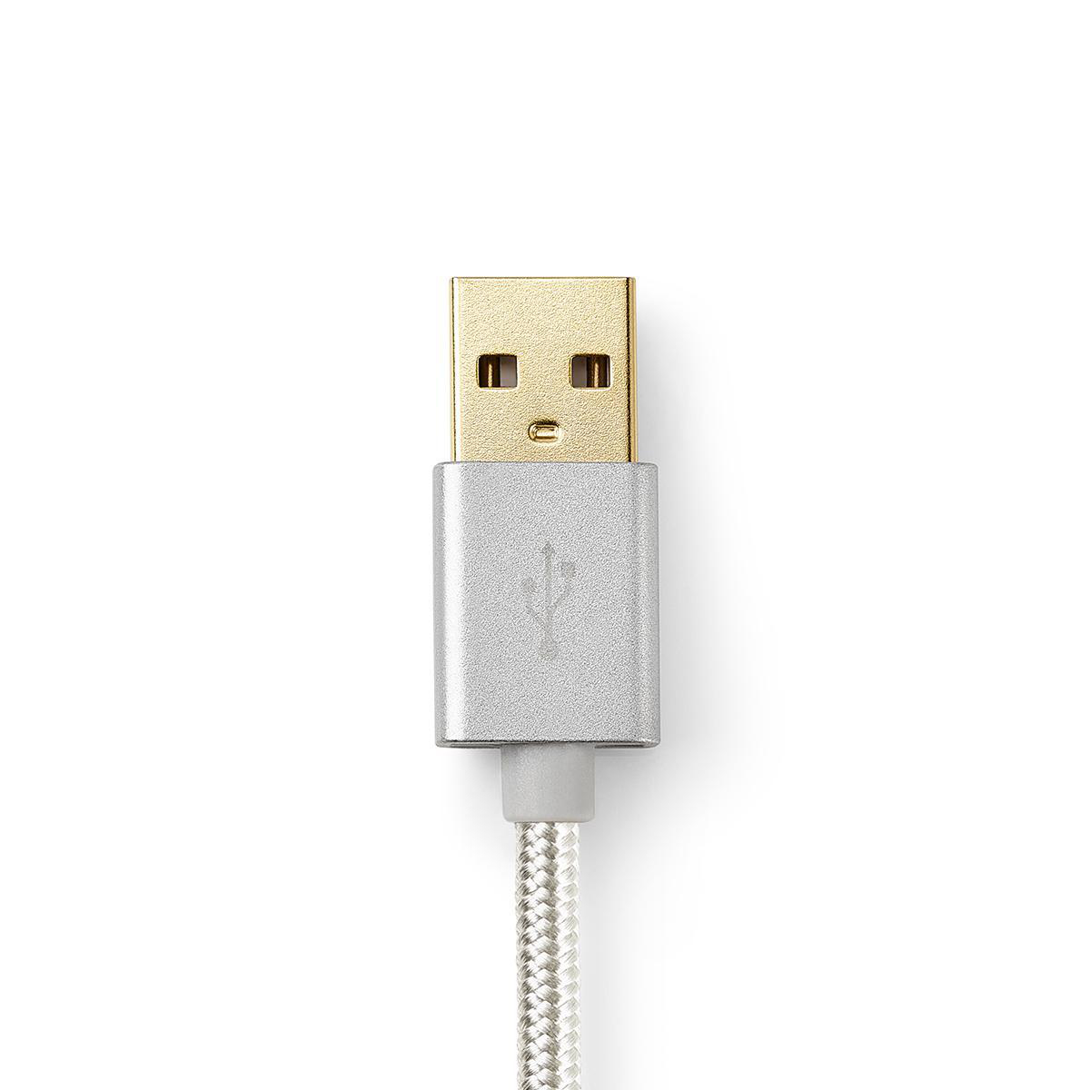Connettore USB argentato con pin dorati e cavo intrecciato.