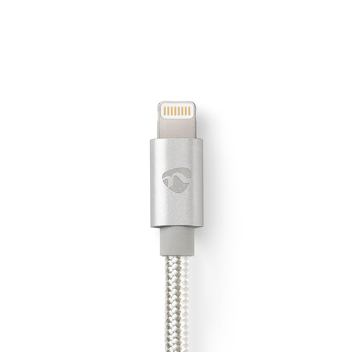 Connettore per cavo da Lightning a USB argento su sfondo bianco.