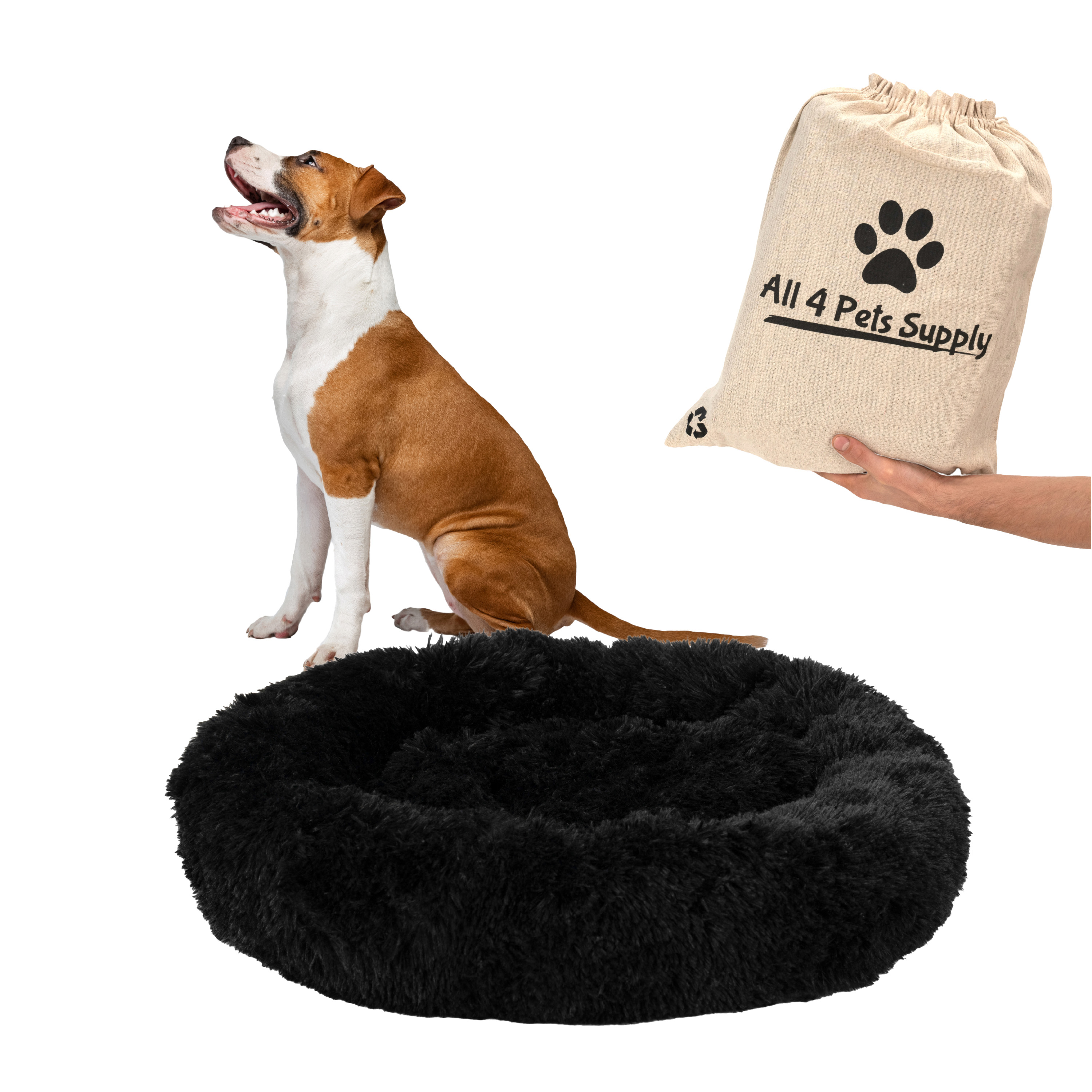 Hund sitzt neben einem schwarzen, flauschigen Bett. Eine Tasche mit Pfotenabdrücken wird gehalten.