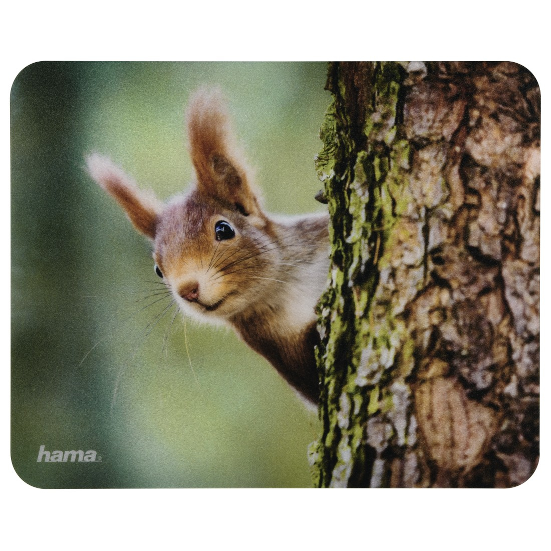 Wiewiórka wyglądająca zza pnia drzewa na podkładce pod mysz z zielonym tłem.