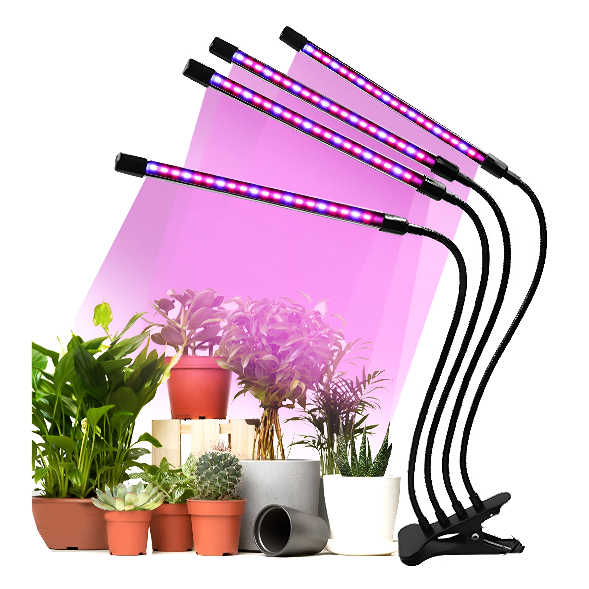 Vier LED-Pflanzenleuchten mit lila und rosa Farbtönen, die Pflanzen beleuchten.