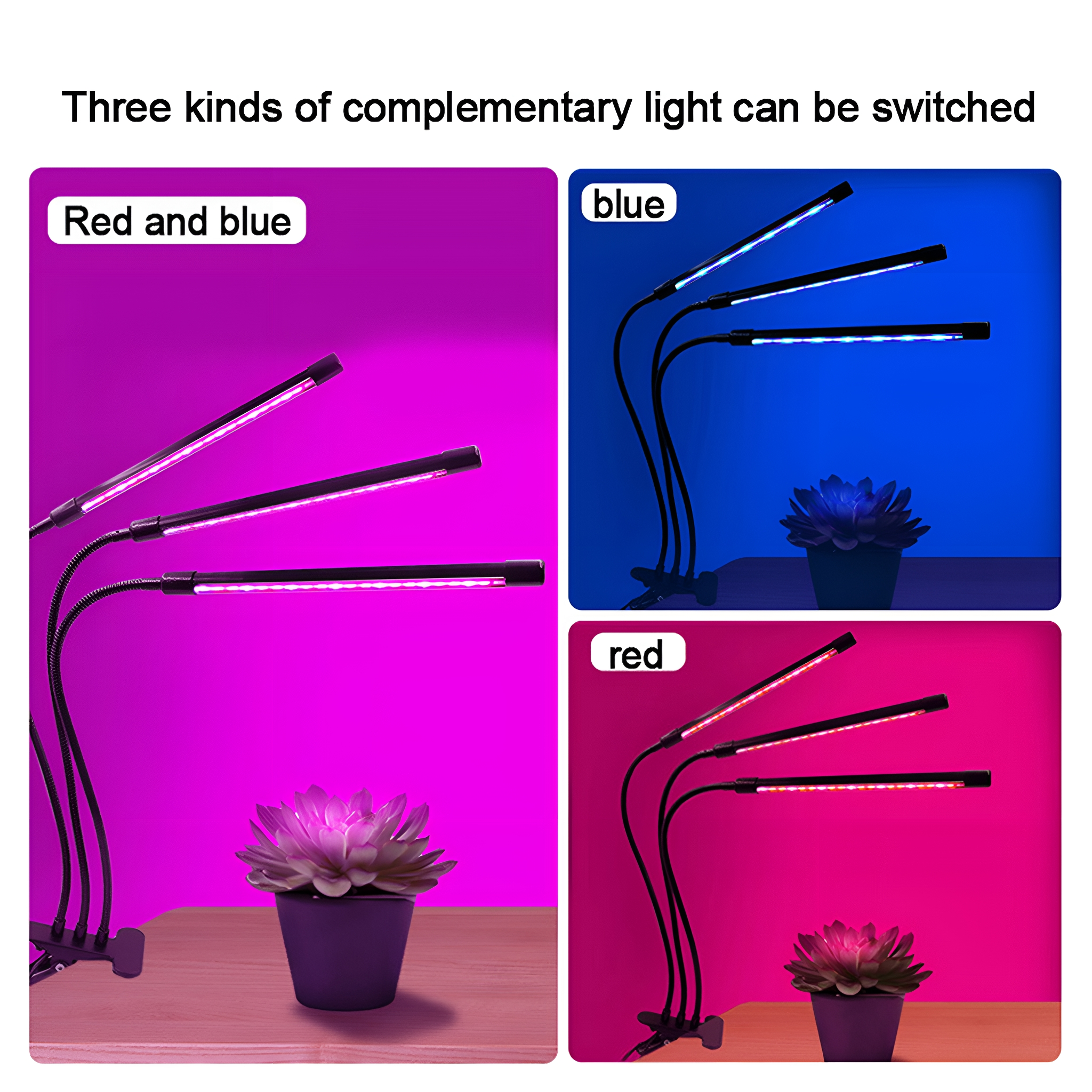 Drei Lampen mit verschiedenfarbigem Licht: rot und blau, blau und rot.