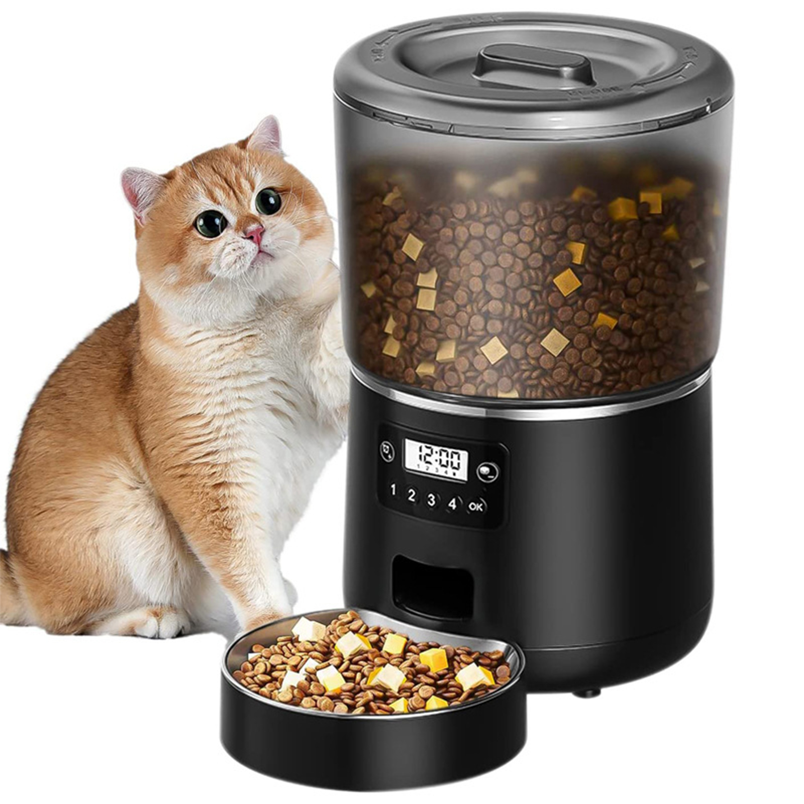 Eine Katze in der Nähe eines schwarzen automatischen Futterautomaten. Der Automaten hat einen Behälter.