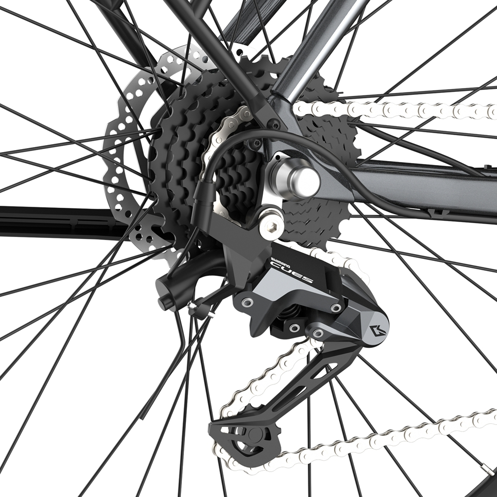 Ingranaggi e catena della bici su sfondo bianco. Gli ingranaggi sono neri.