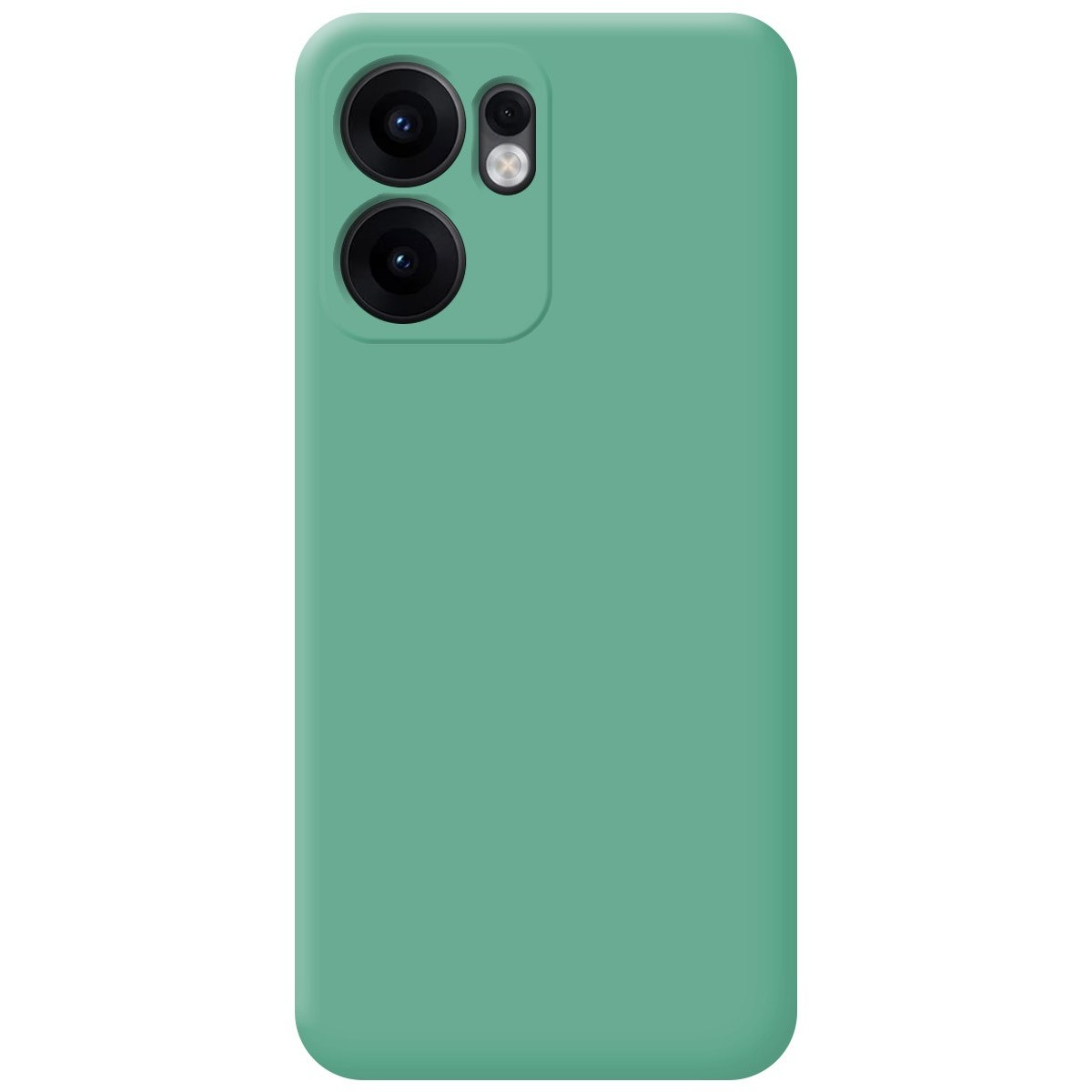 Custodia verde con modulo fotocamera. La custodia è di colore verde pieno.