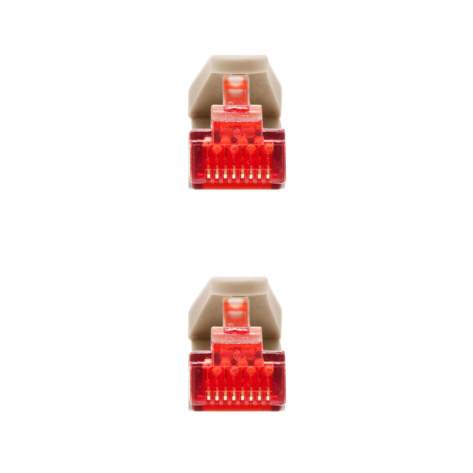 Dos conectores de cable de red, de color rojo.