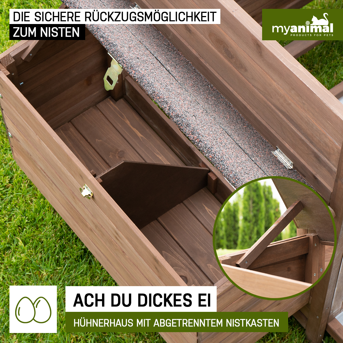 Hühnerstall aus Holz mit Nistkästen. Grünes Gras im Hintergrund.