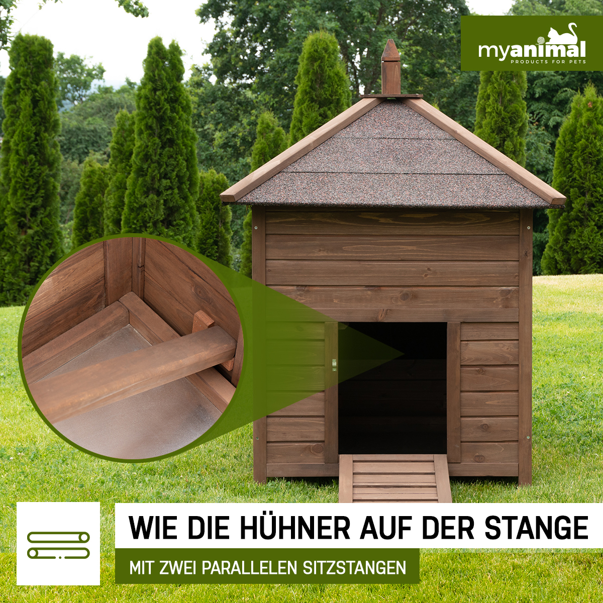 Ein hölzerner Hühnerstall mit vergrößerter Ansicht eines Regals, Text sagt 'Wie Hühner sitzen'.