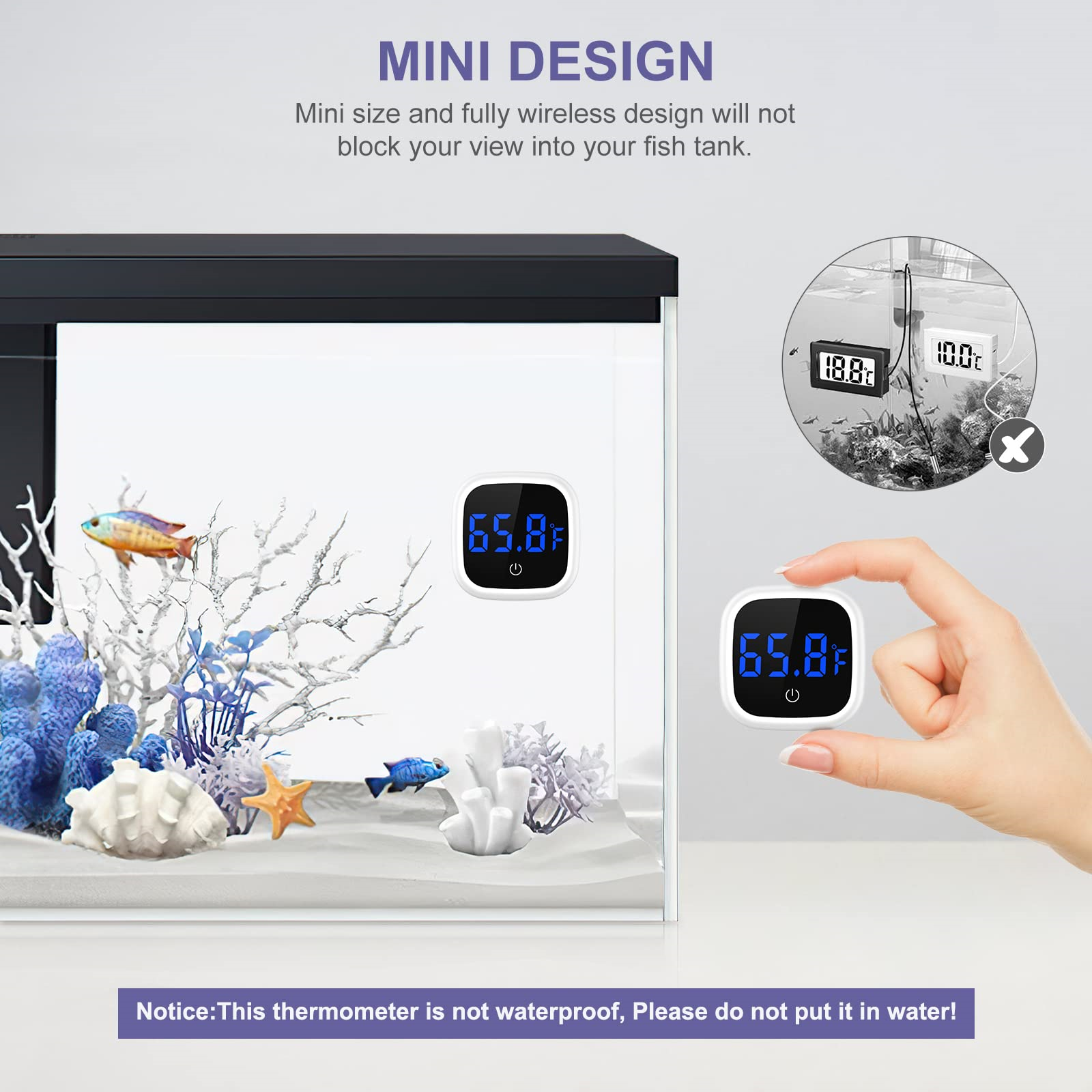 Aquarium mit Fischen und einem Thermometer mit 65,8F. Eine Hand hält ein ähnliches Thermometer mit derselben Anzeige.