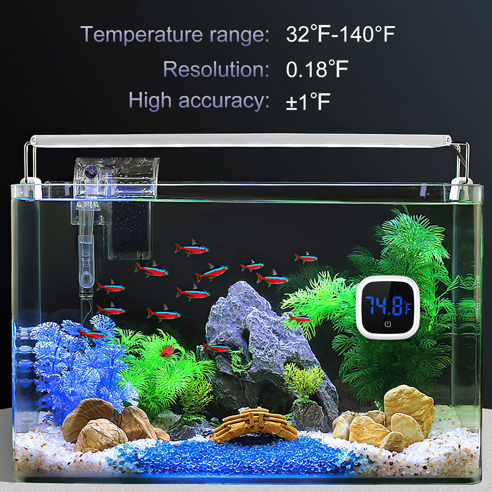 Aquarium mit Fischen, Pflanzen und digitalem Thermometer, das 74,8 °F anzeigt, und Text.