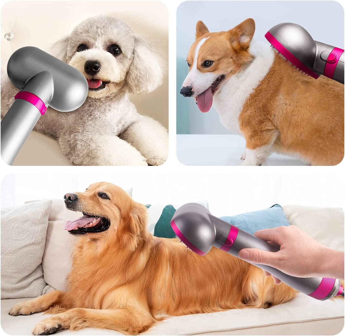 Hunde werden mit einer elektrischen Bürste gepflegt. Es werden drei verschiedene Hunde gezeigt: Pudel, Corgi und Golden Retriever.