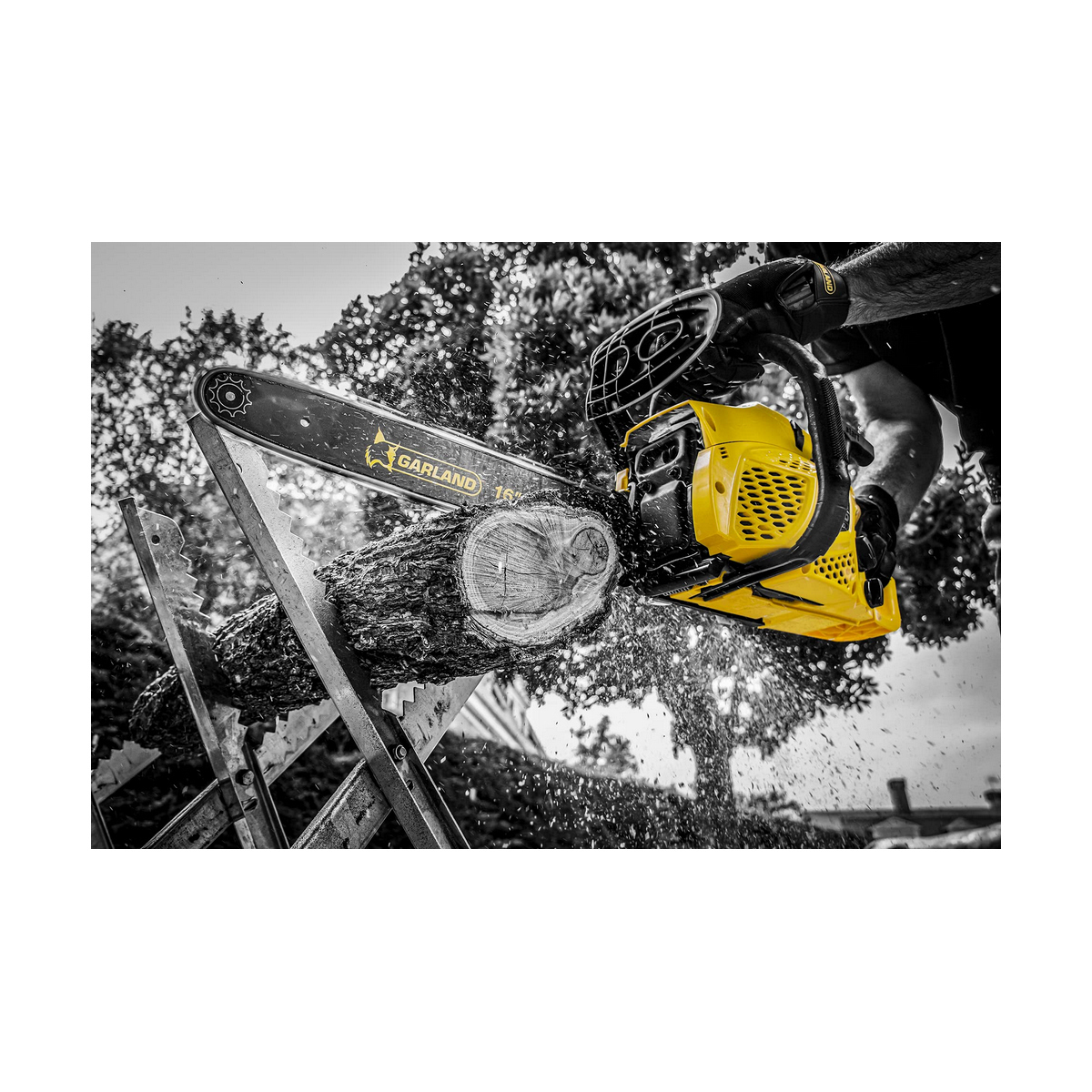 Persona cortando un tronco con una motosierra amarilla. Fondo en blanco y negro, árbol, madera.