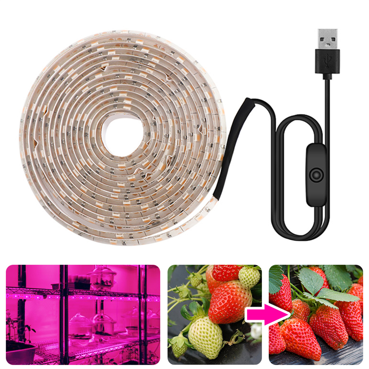 LED-Streifen mit USB-Kabel, Schalter und Erdbeeren. Außerdem ein Regal mit rosa Beleuchtung und Pflanzen.