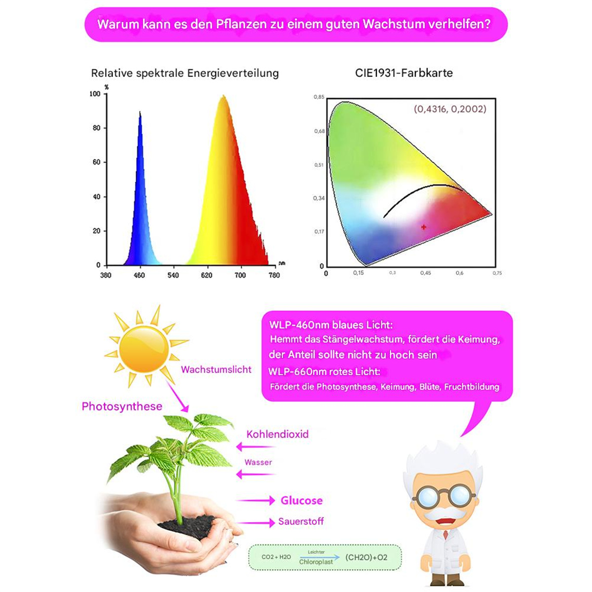 Diagramm mit Lichtspektrum, Farbkarte, Pflanze mit Photosynthese-Elementen und Wissenschaftler mit Brille.