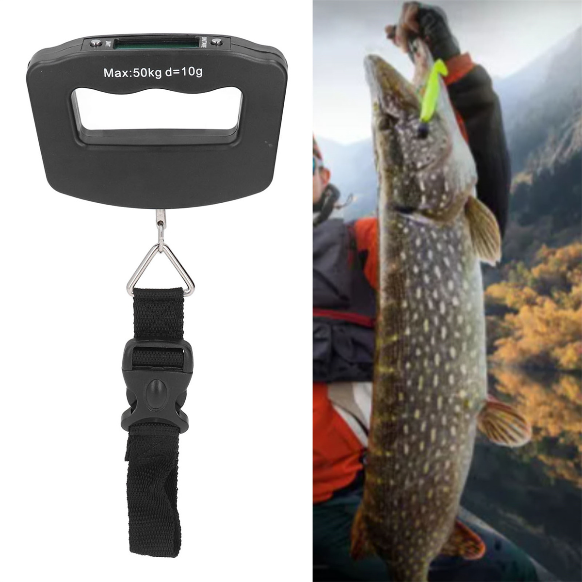 Eine Angelwaage und ein Angler, der einen großen Fisch mit einem grünen Köder hält.