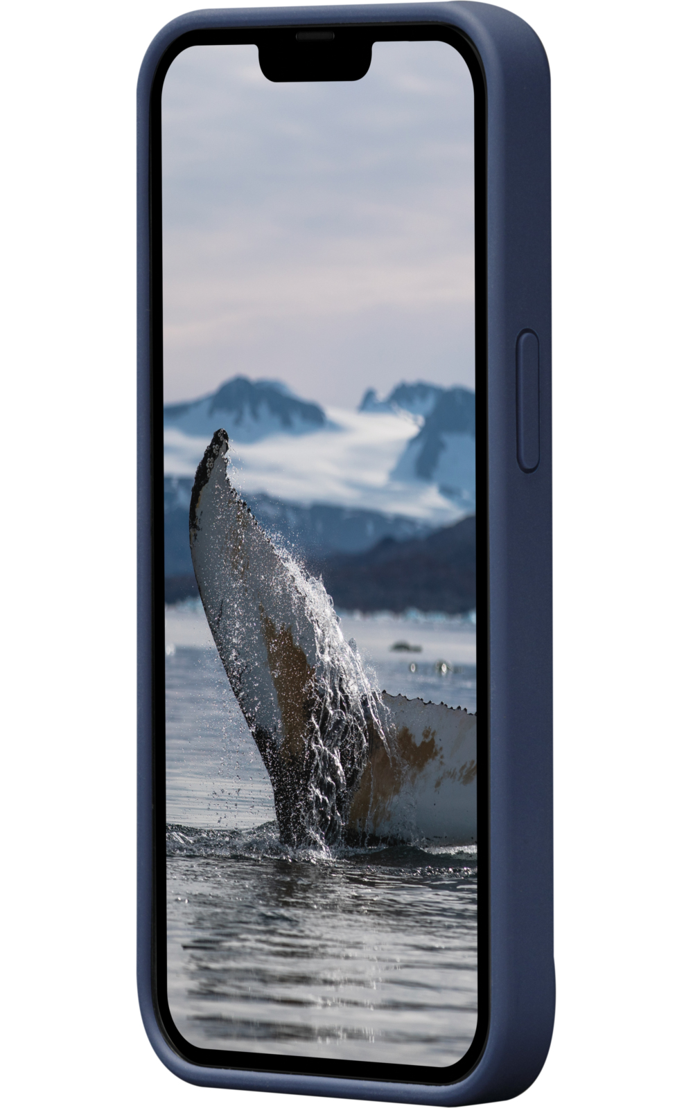 Custodia blu per telefono con un telefono che mostra la coda di una balena che emerge dall'acqua, montagne sullo sfondo.