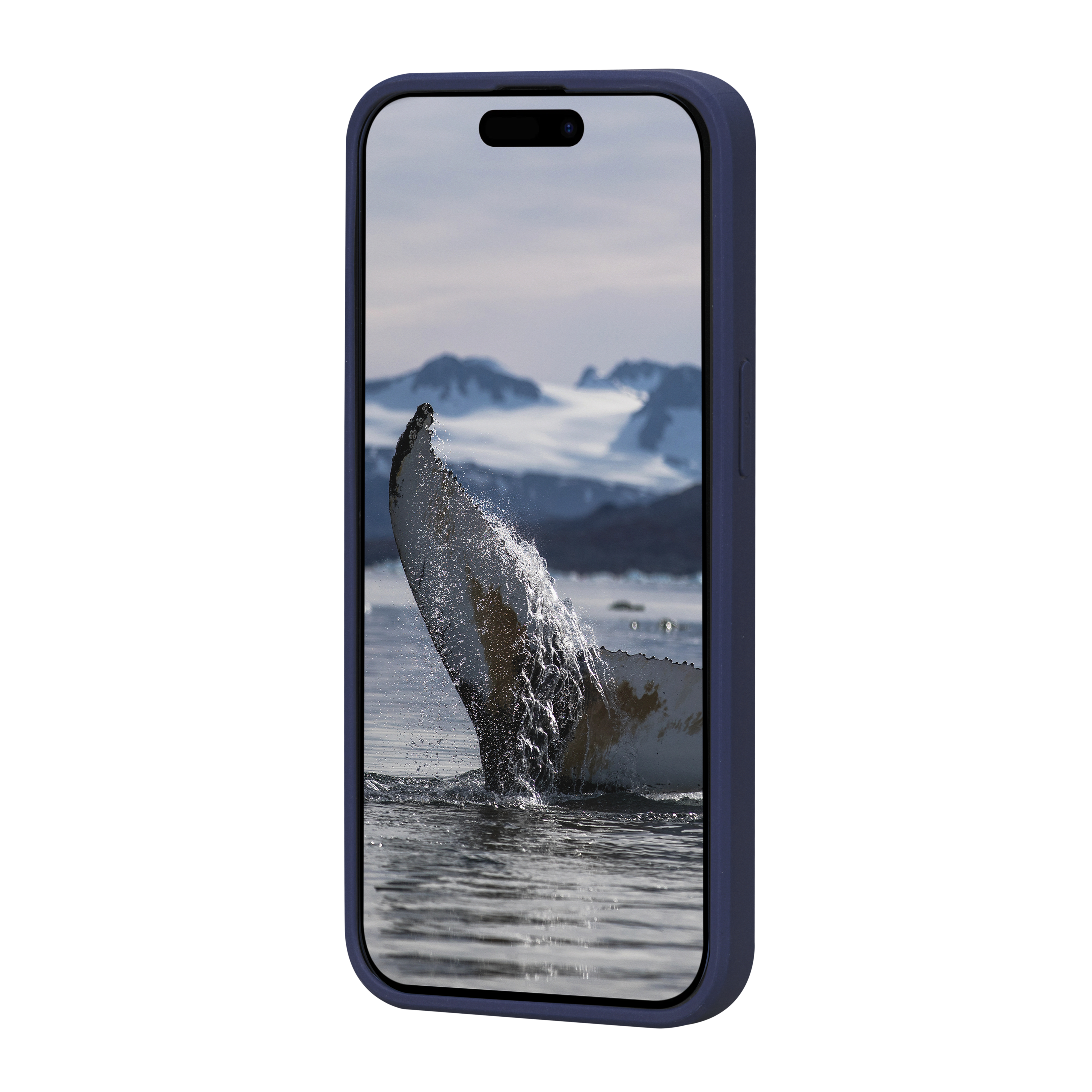 Smartphone avec un étui bleu affichant une queue de baleine éclaboussant dans l'océan avec des montagnes.