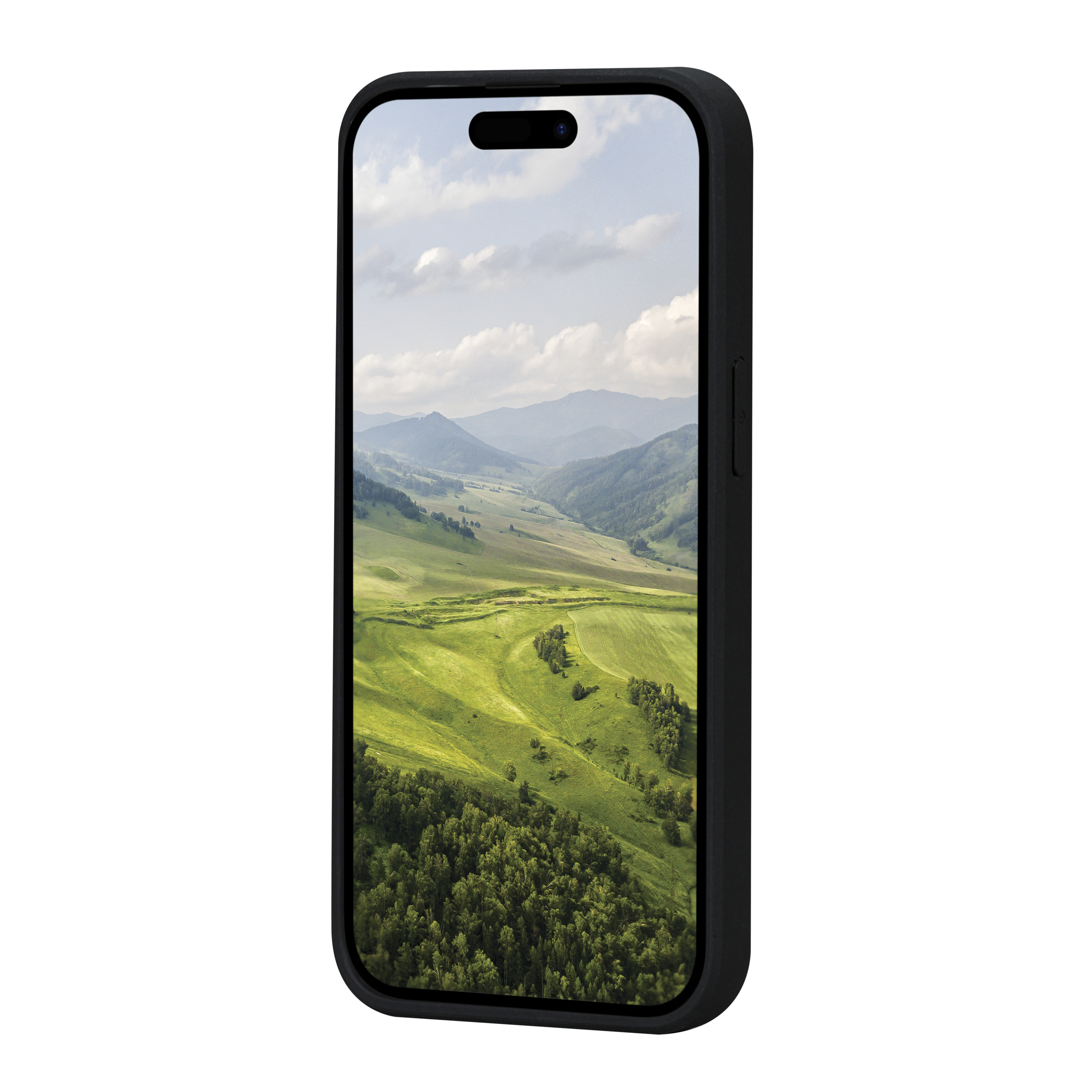 Smartphone in una custodia nera, che mostra un paesaggio.