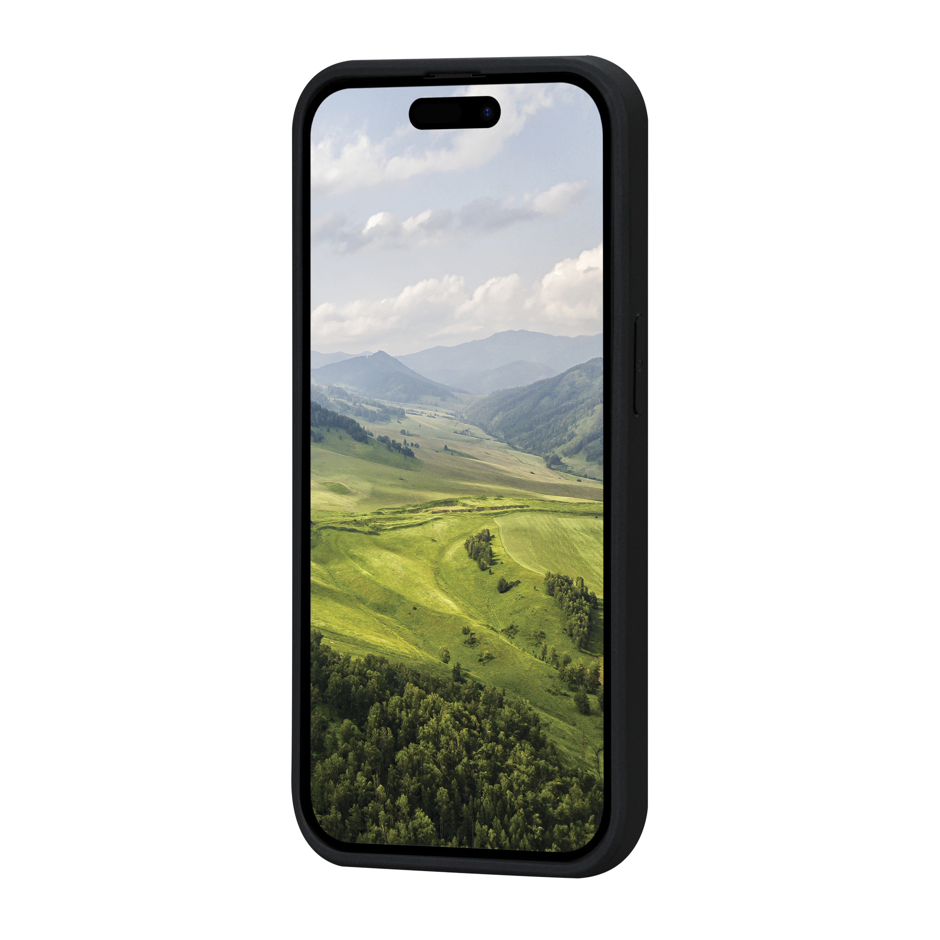 Téléphone noir dans un étui noir, avec un paysage de montagne sur l'écran.