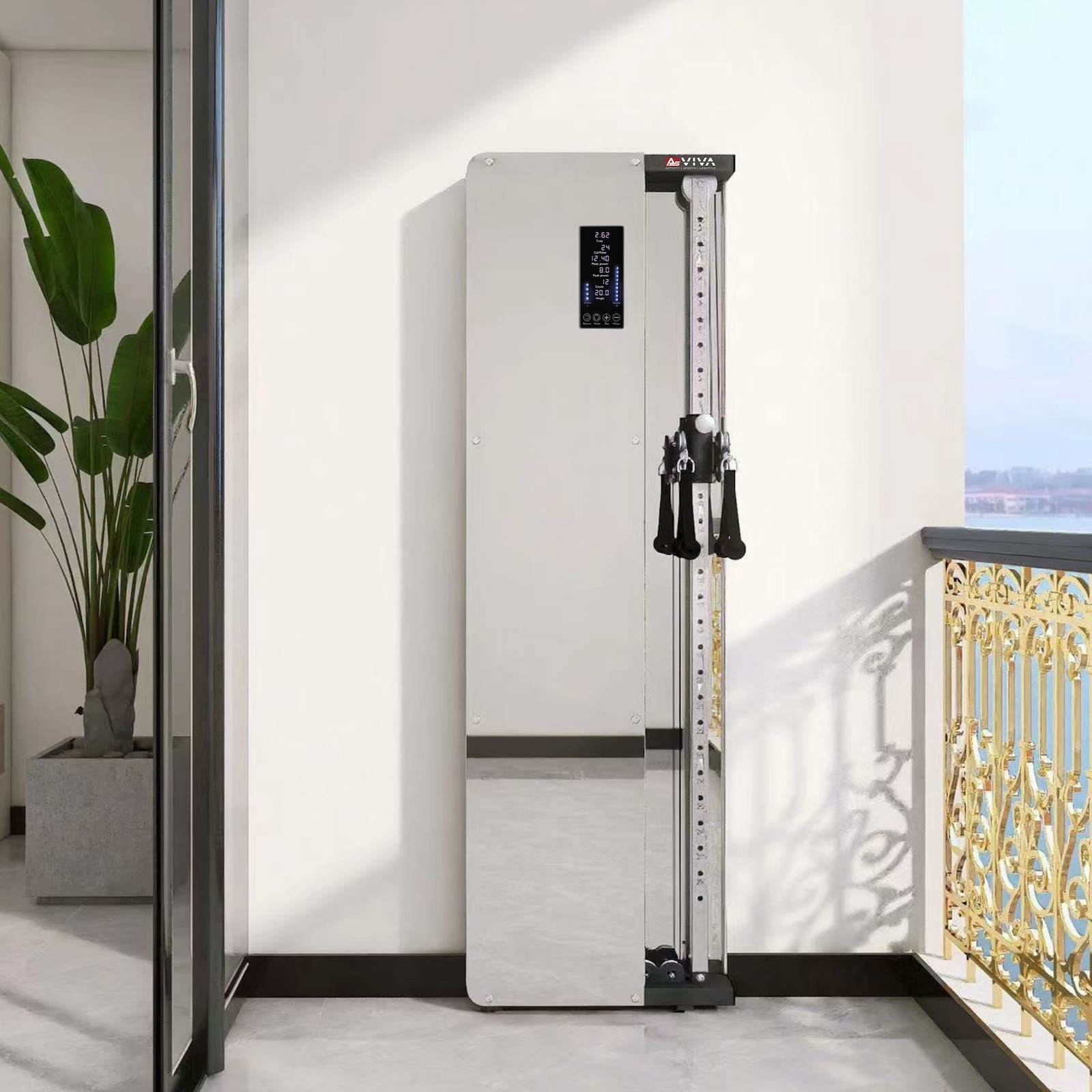 Eine Wand-Fitnessmaschine mit schwarzer und silberner Struktur. Vor einem Fenster.