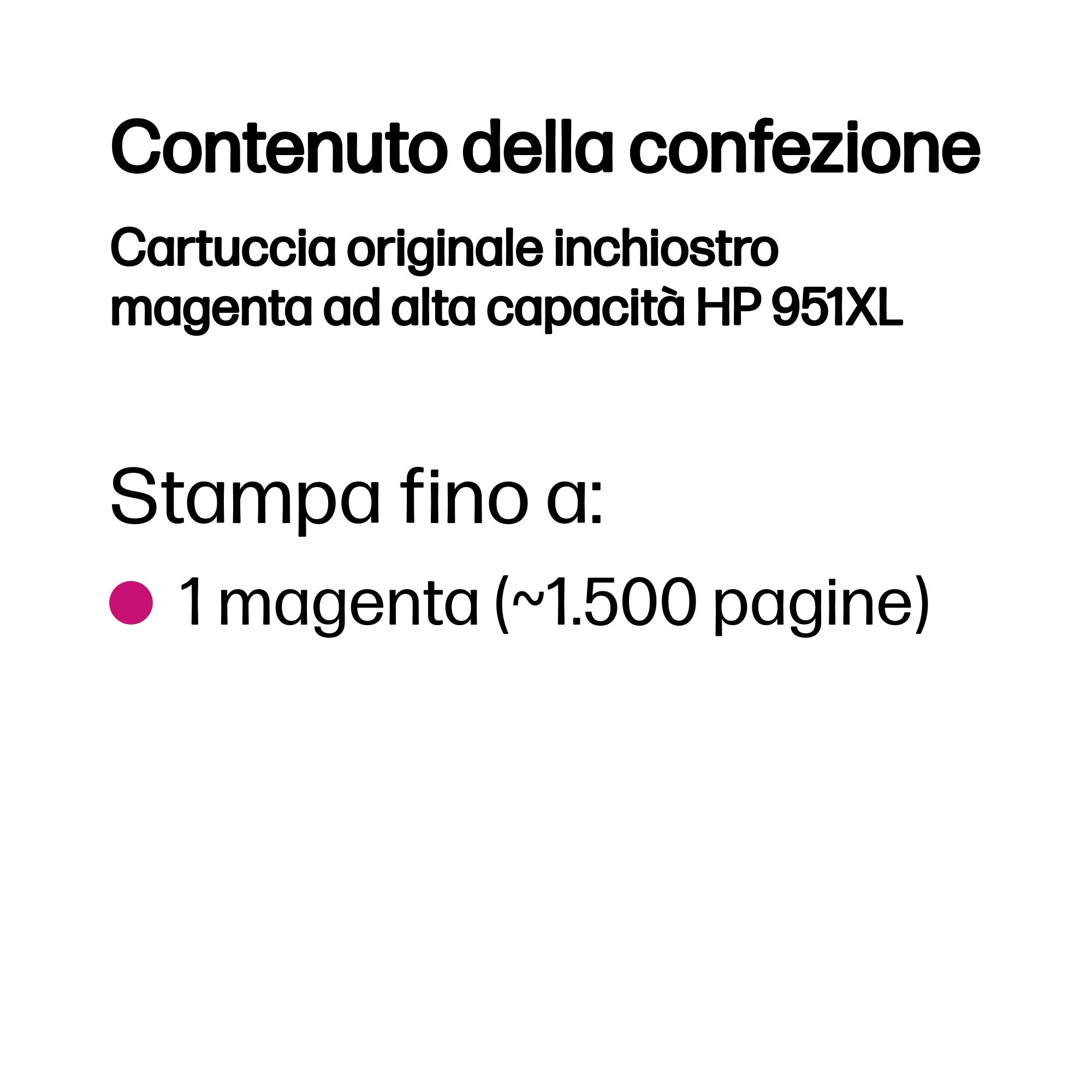 Una scatola di cartucce d'inchiostro nero con testo in più lingue. La scatola è su uno sfondo.