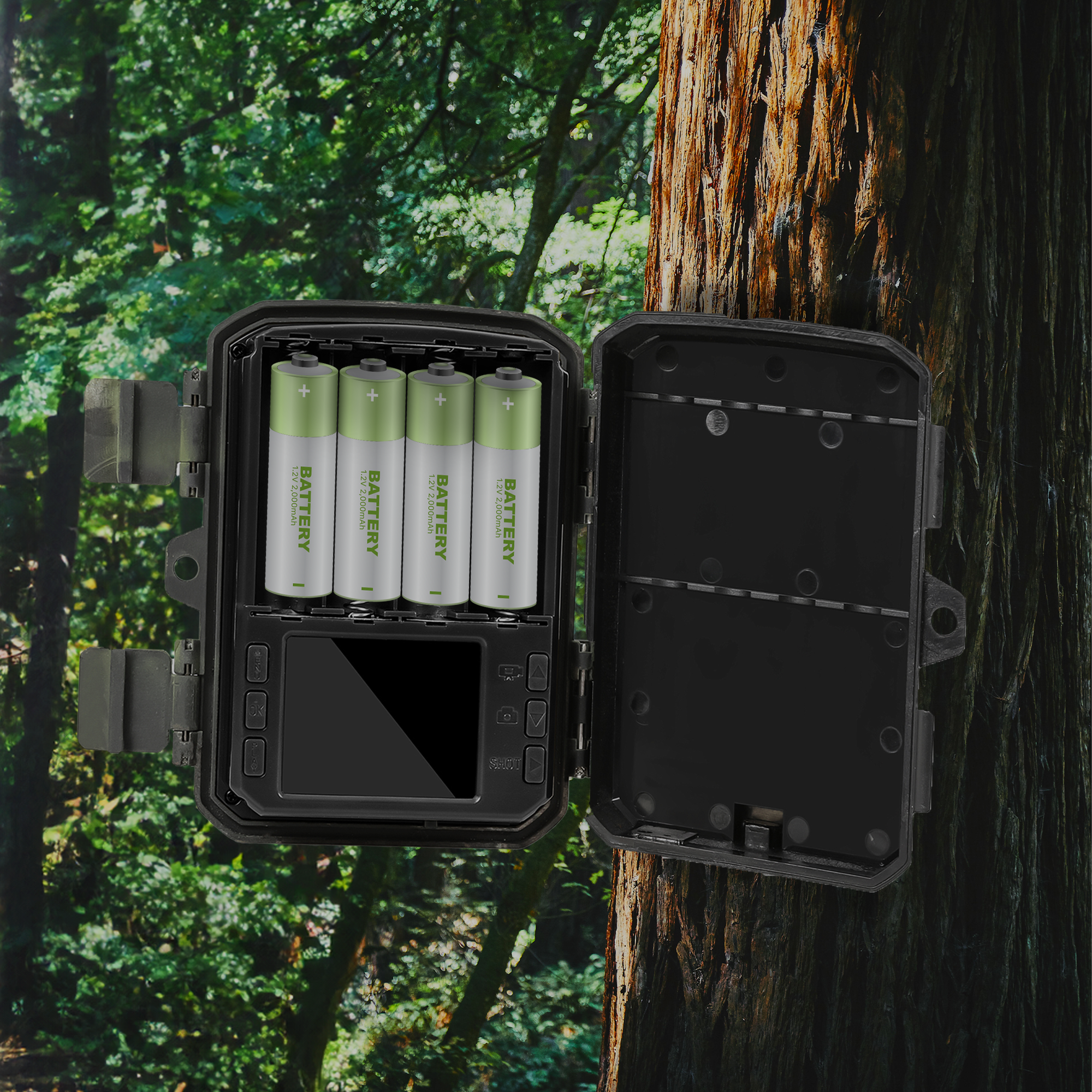 A trail camera mounted on a tree with batteries inside.