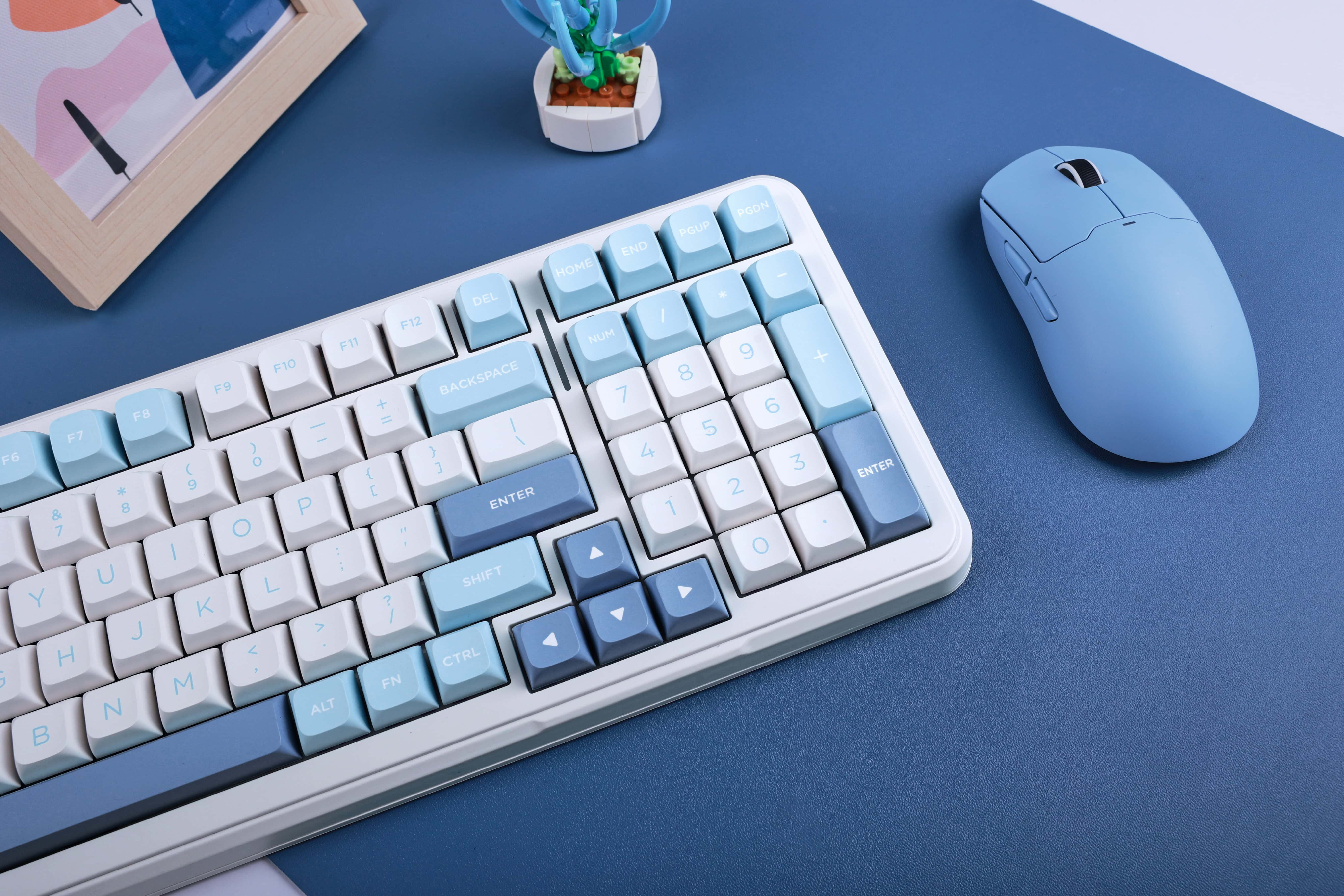 Tastatur und Maus auf blauer Oberfläche, gerahmt von einem Bild und einer kleinen Pflanze.