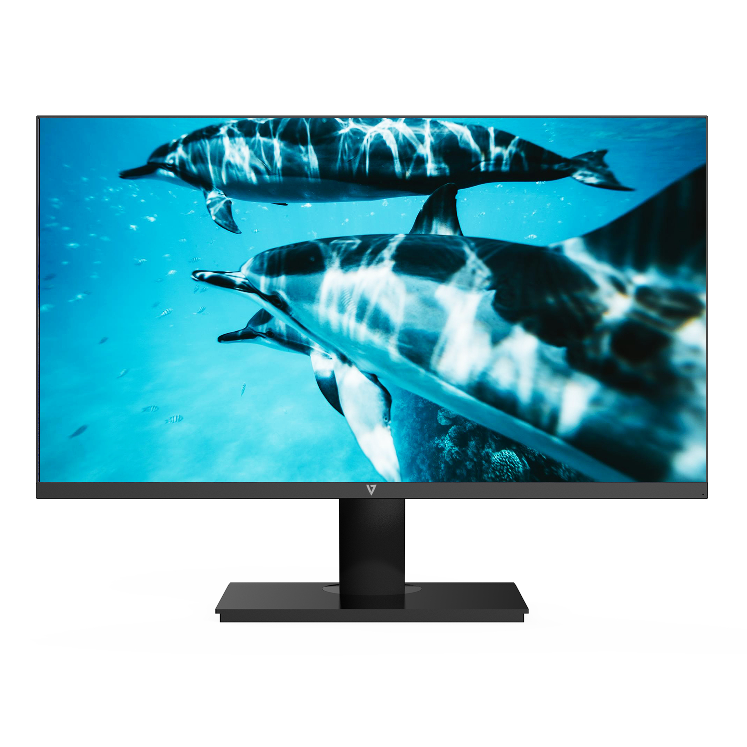 Monitor de computadora que muestra delfines nadando bajo el agua en agua azul. Marco negro, fondo blanco.